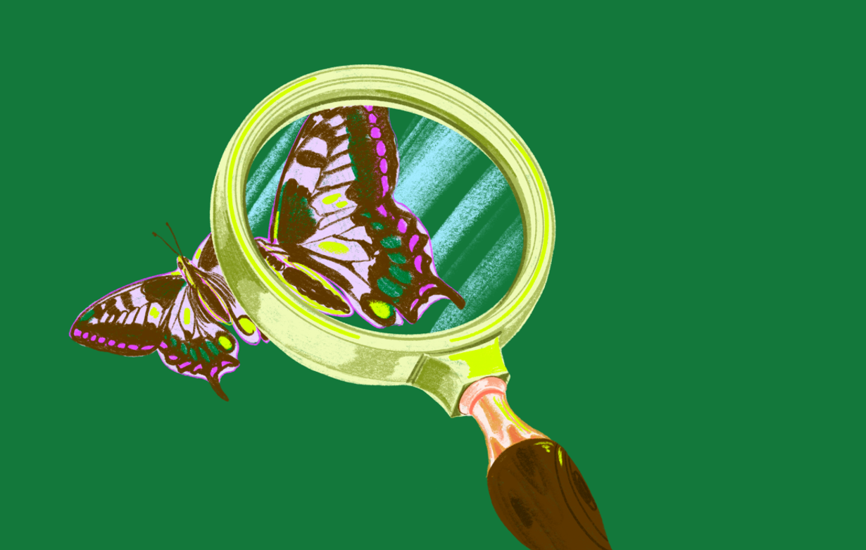 what is a cash advance on a credit card