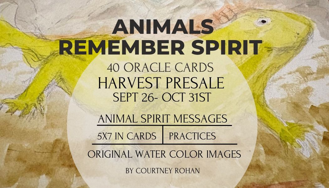 Animals Remember Spirit — Oracle Cards Harvest Presale: September 26 – October 31