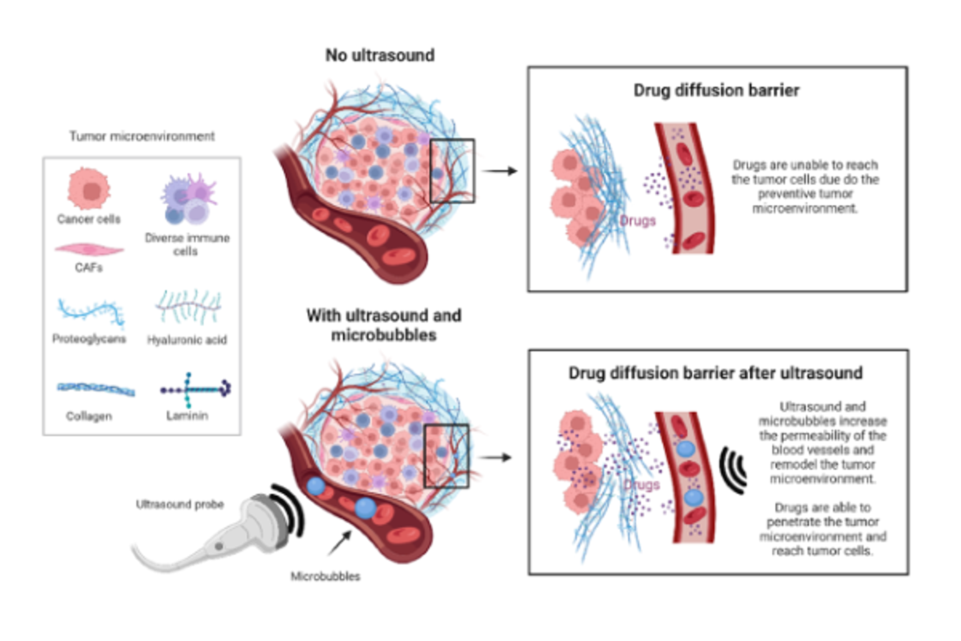 diagram of drug diffusion and tumour microenvironment