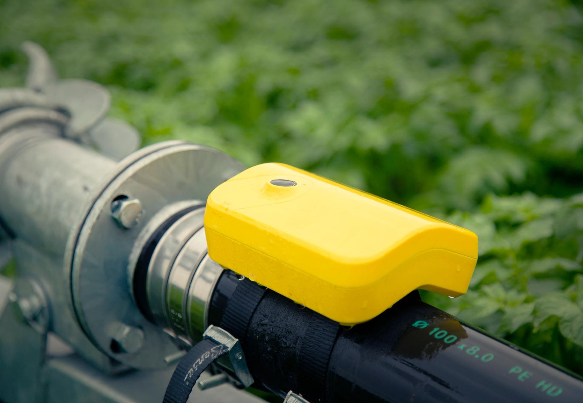 Closeup of a yellow sensor on an irrigation pipe