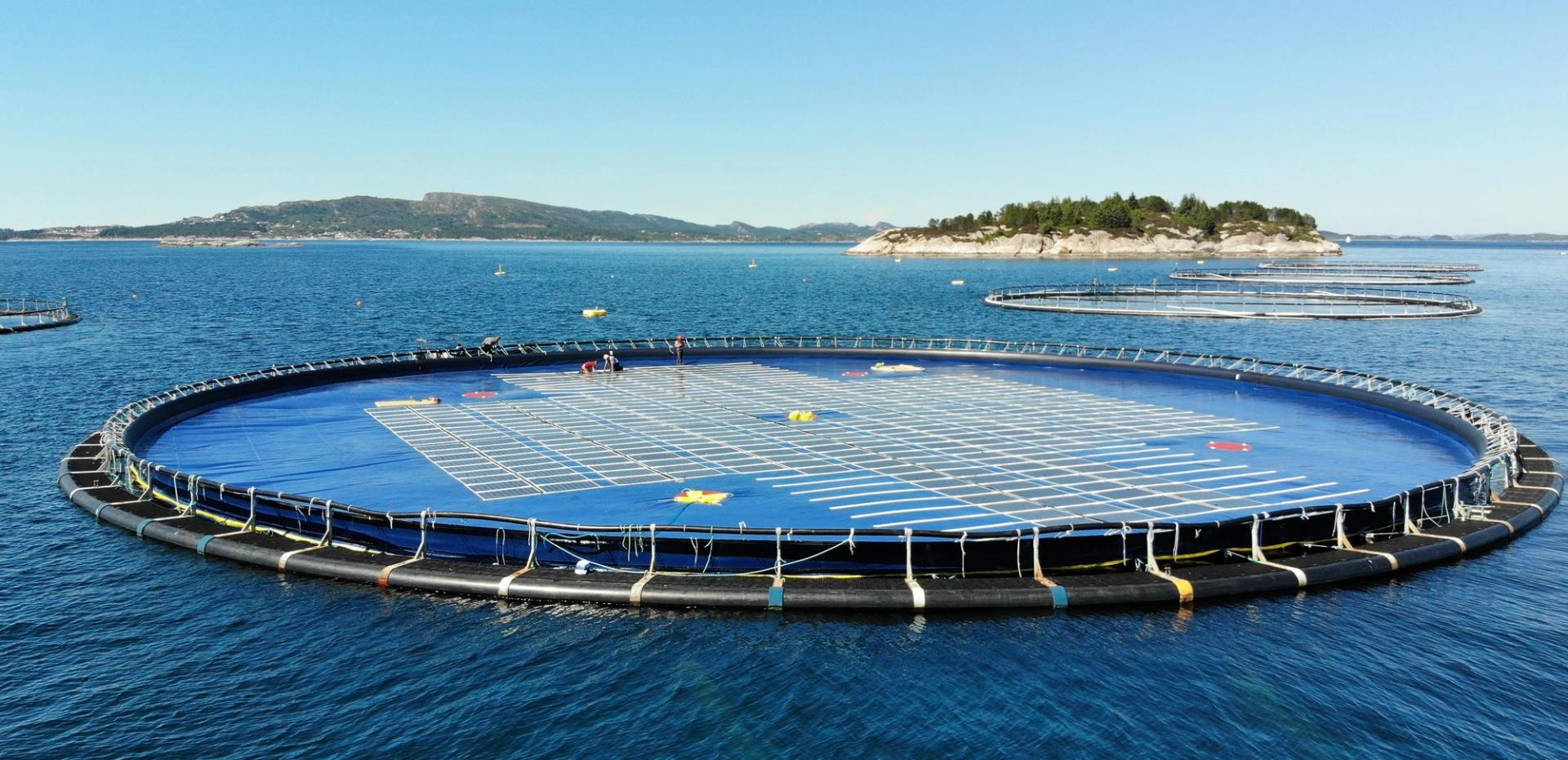Four Ocean Sun floating solar stations in a coastal setting with clear skies