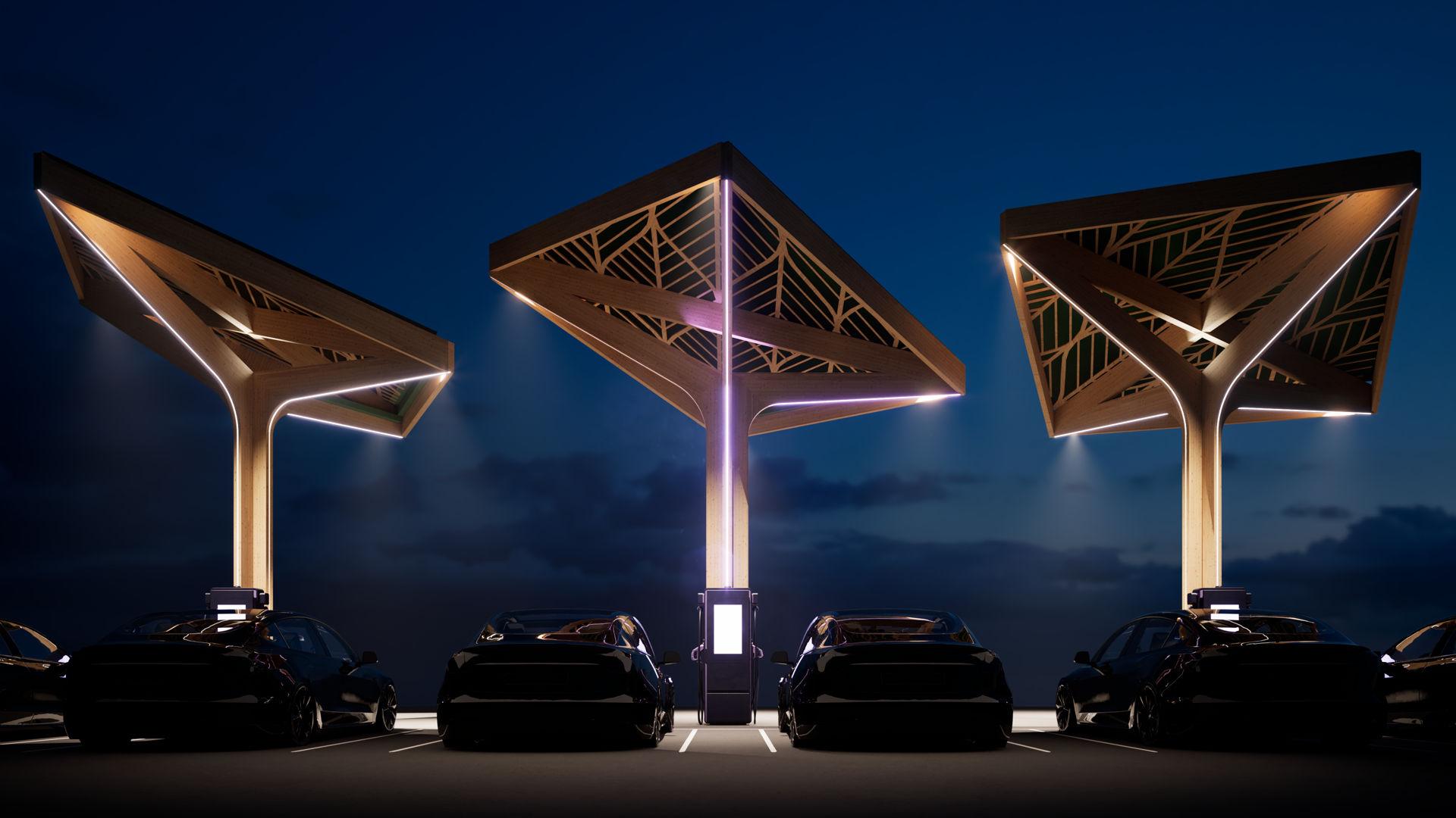 Visualization of Ecogo charging tree's in the dark.