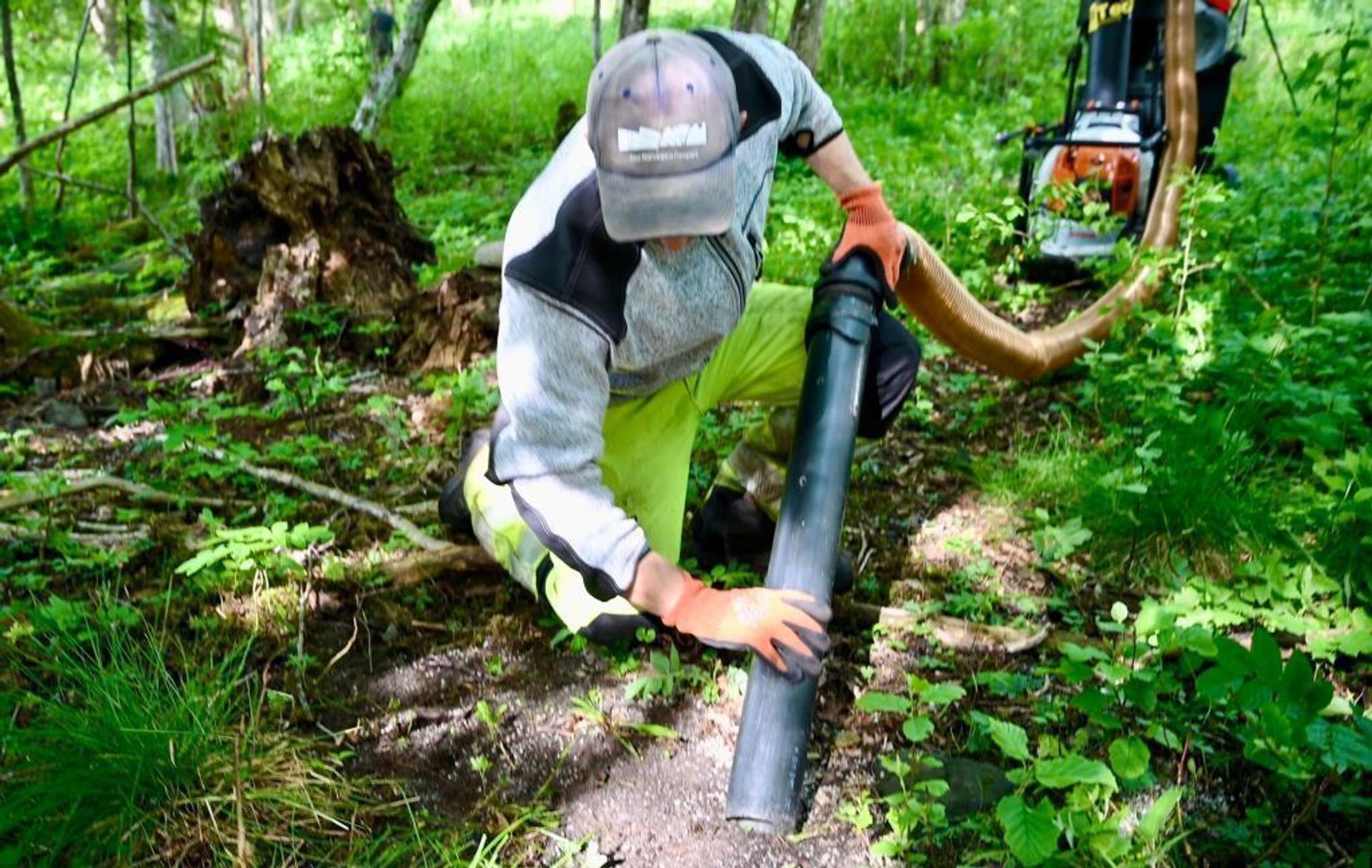 Person in work clothes vacuuming up plastic particles in the woods