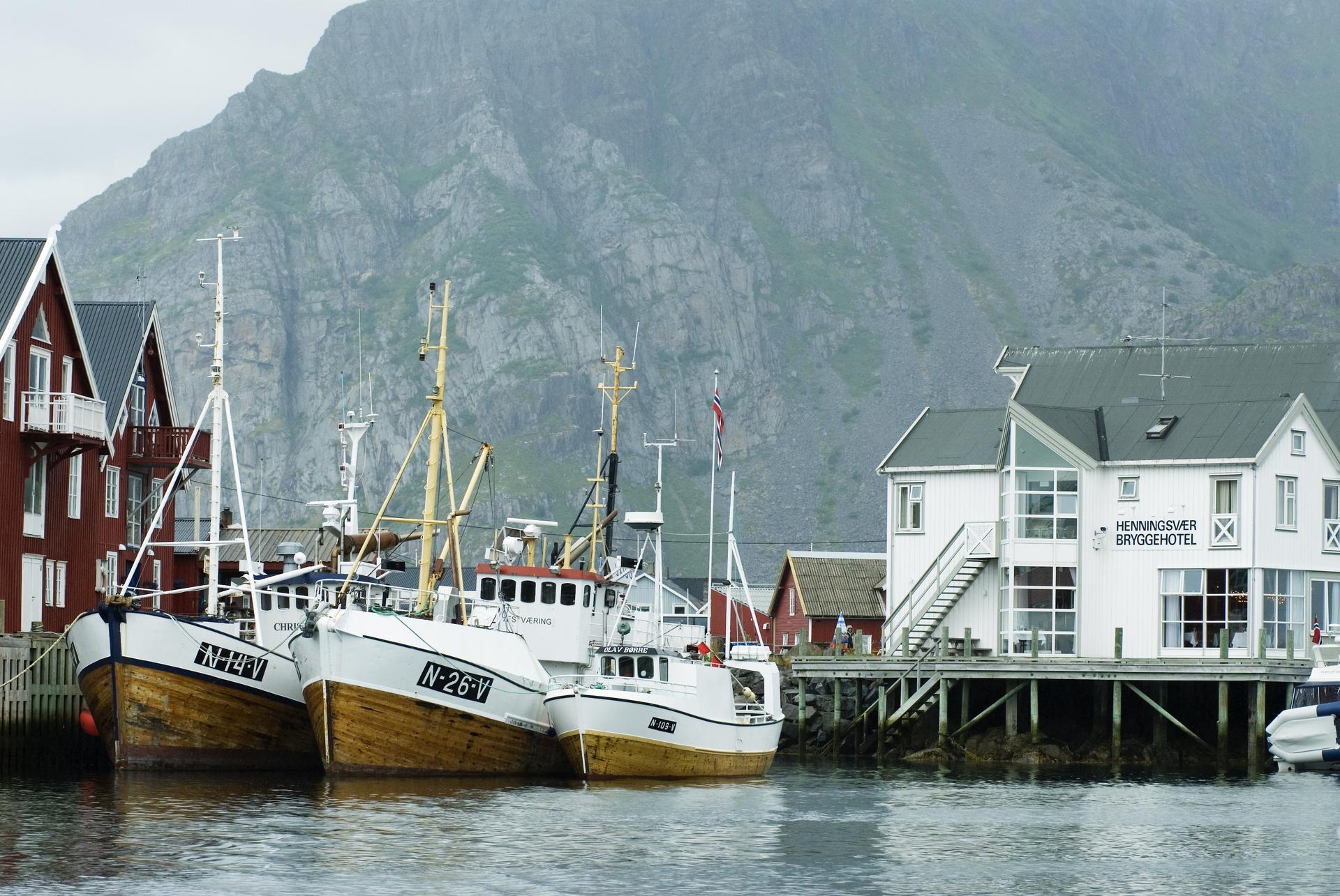 Fishing boats in the harbour  Henningsvær in Lofoten