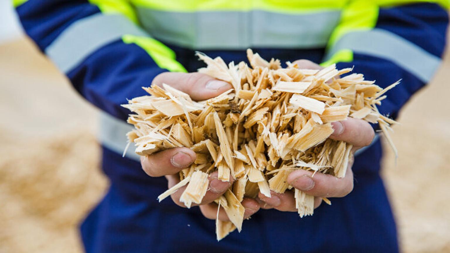 Man holding wood chips