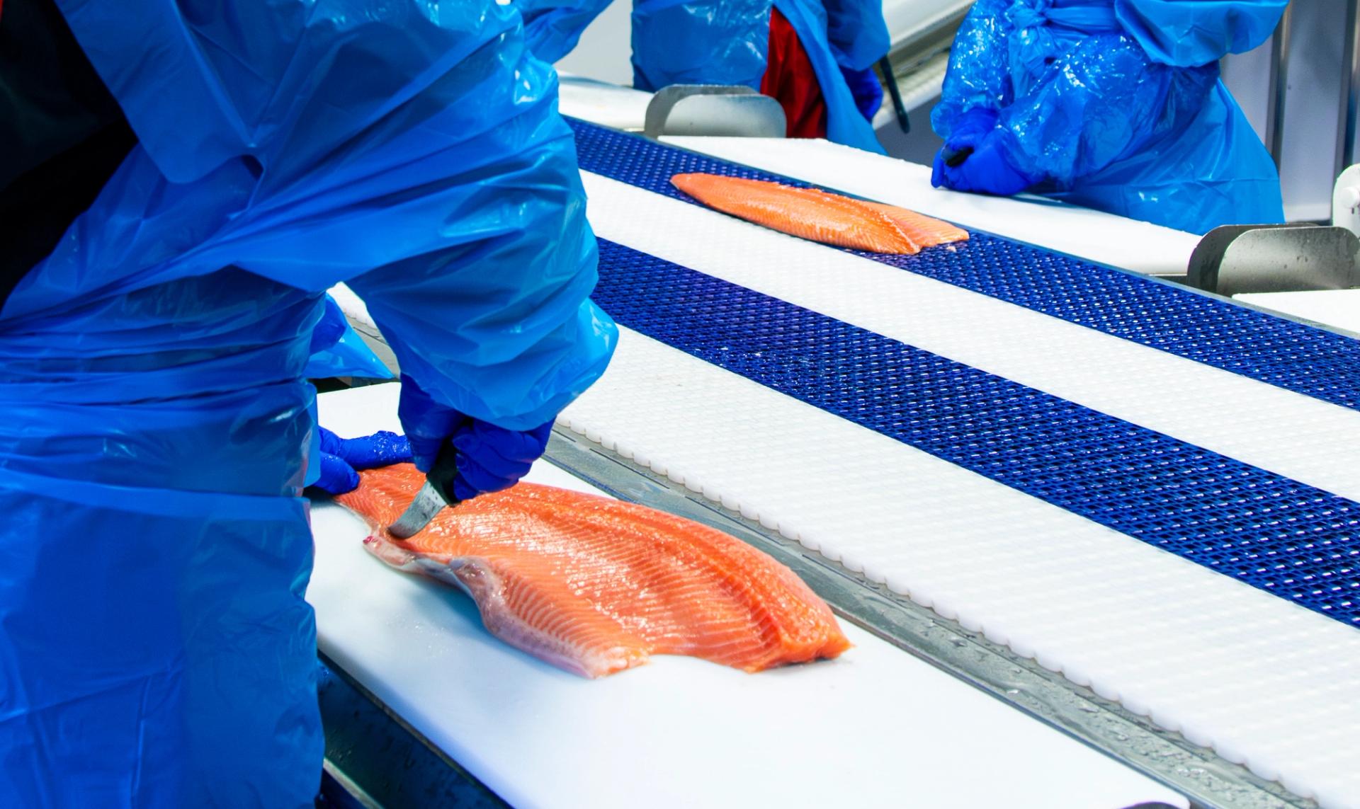 A salmon filet being handled in a fabric.