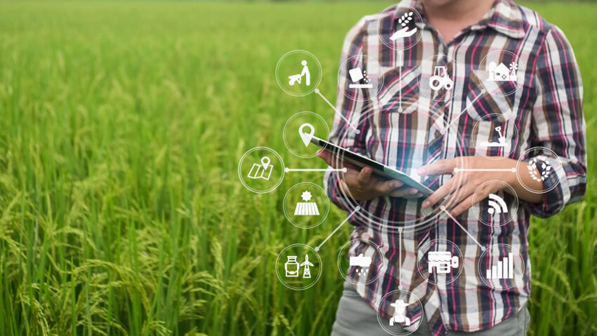 Person standing in field using tablet