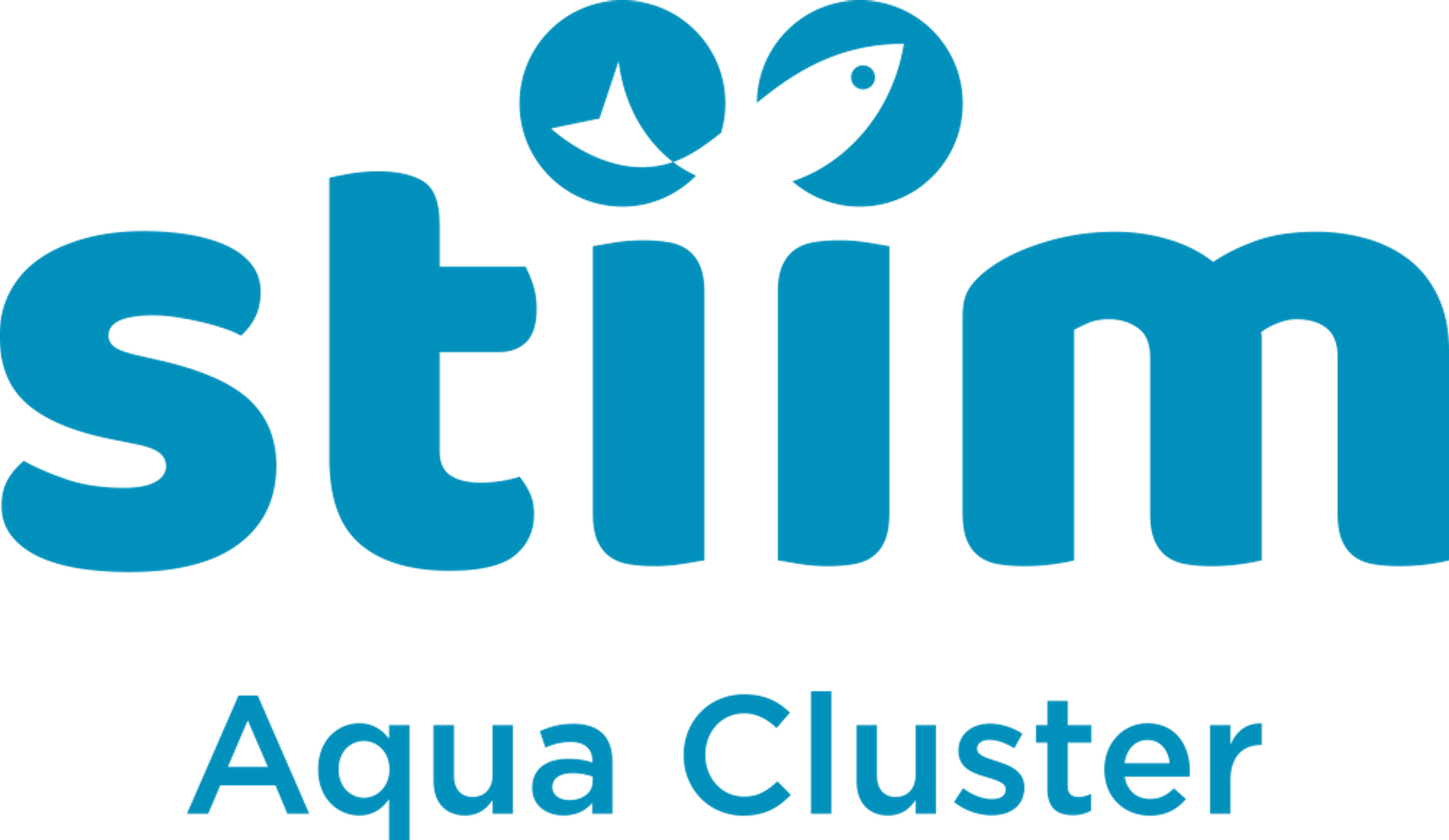 logo of STIIM AQUA CLUSTER