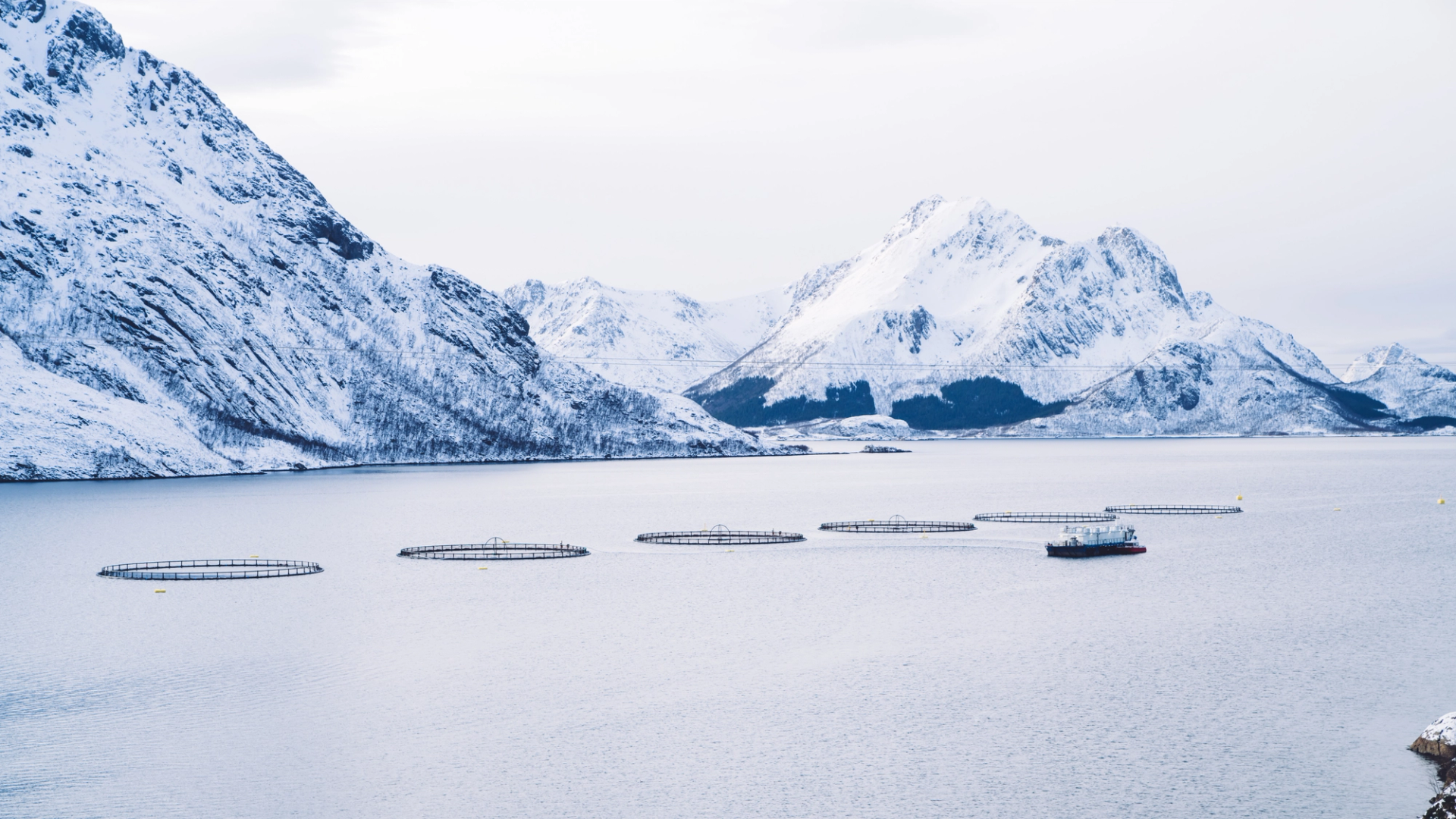 aquaculture net pens in North Norway