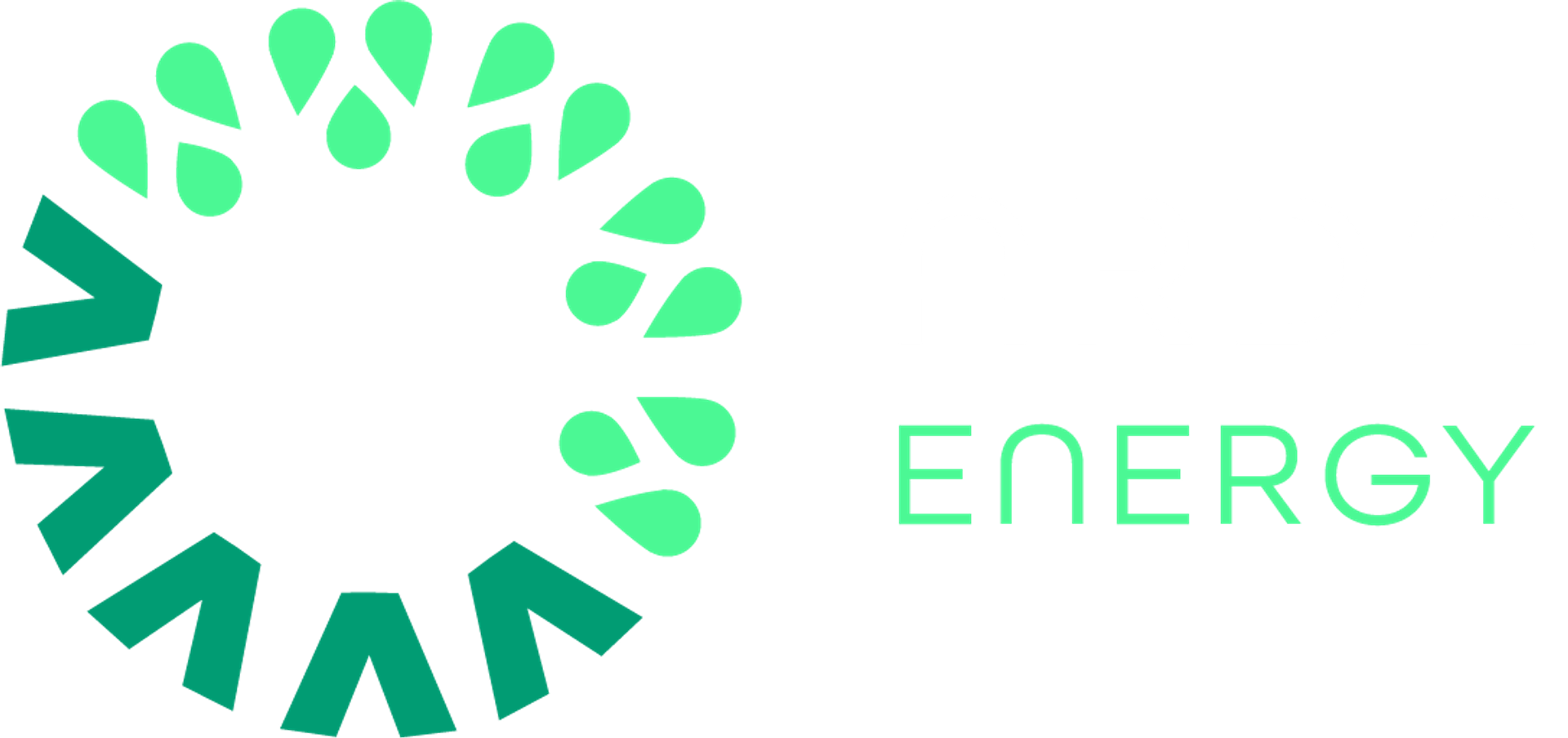 ARDA ENERGY AS