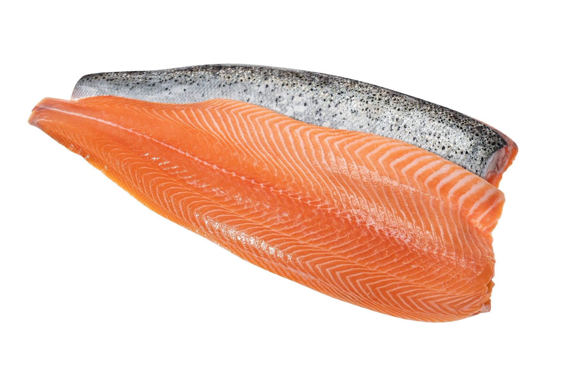 Salmon filet.