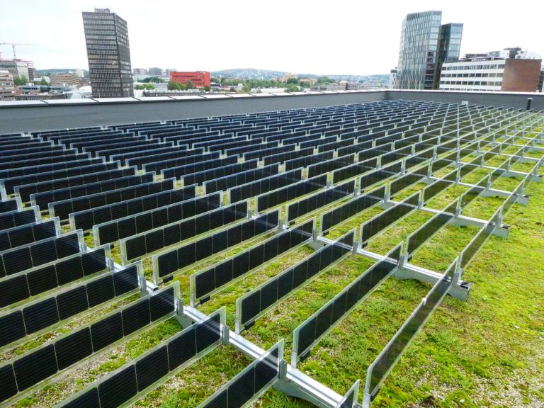 Over Easy Solar innovates vertical rooftop biosolar | Business Norway