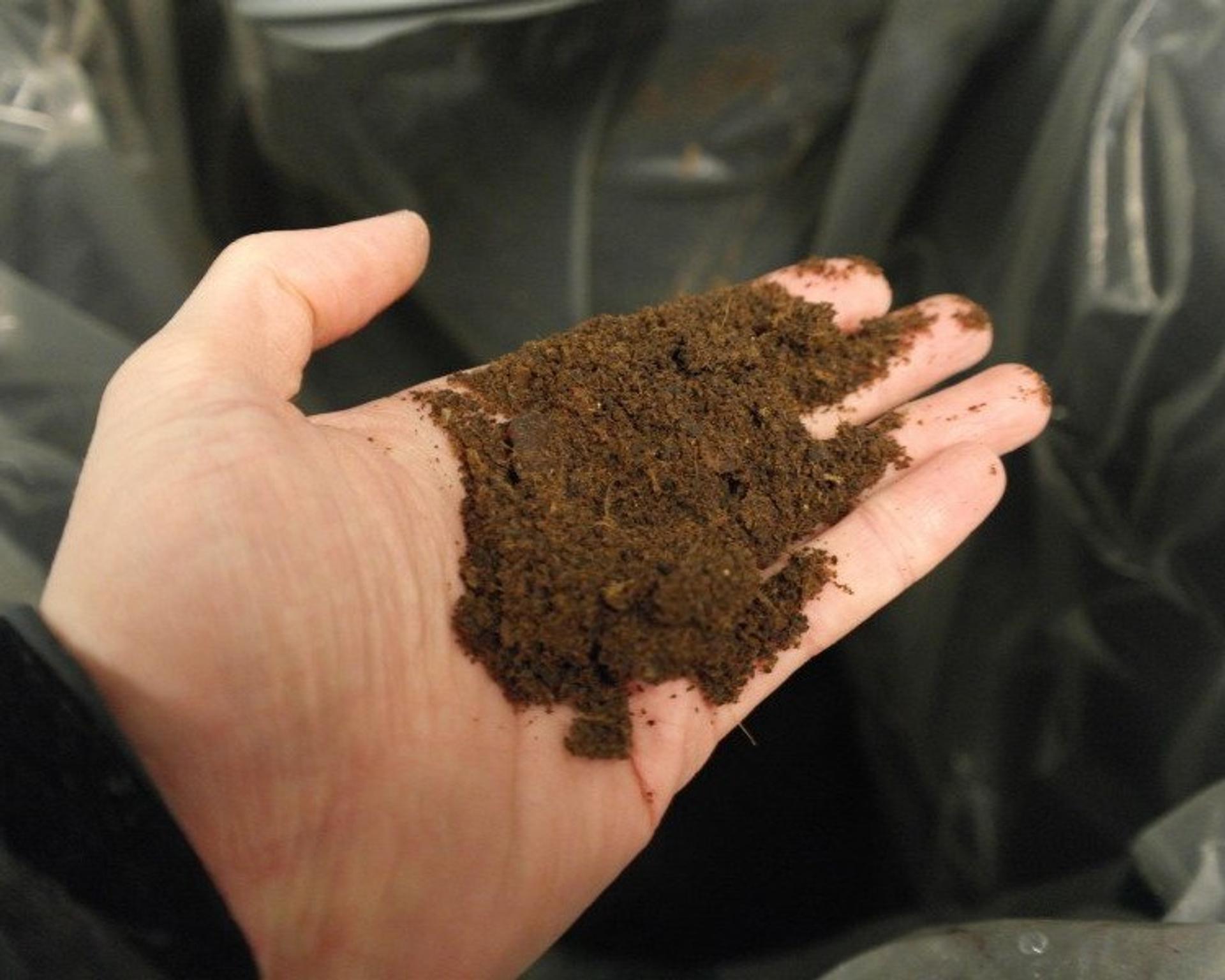 Dried brown powder made from wet food waste
