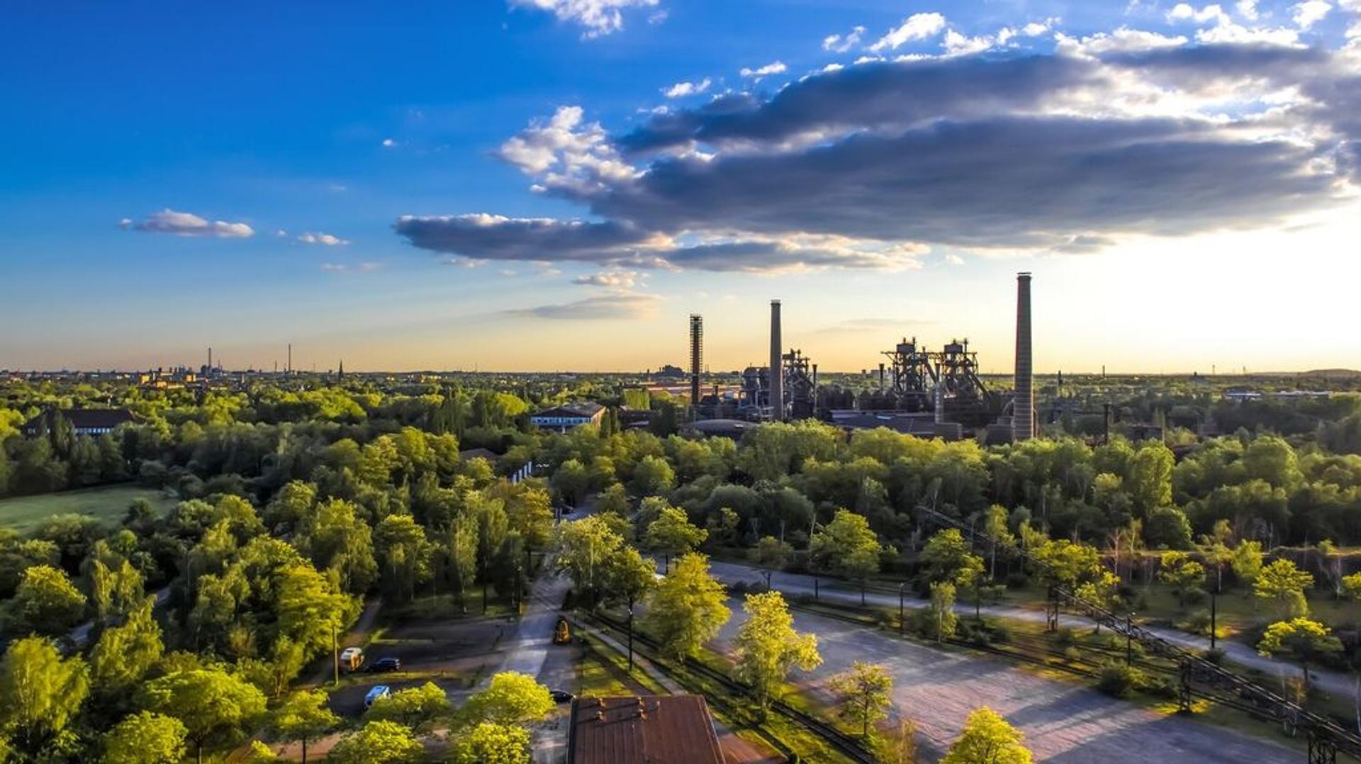 Overview of forest and industry