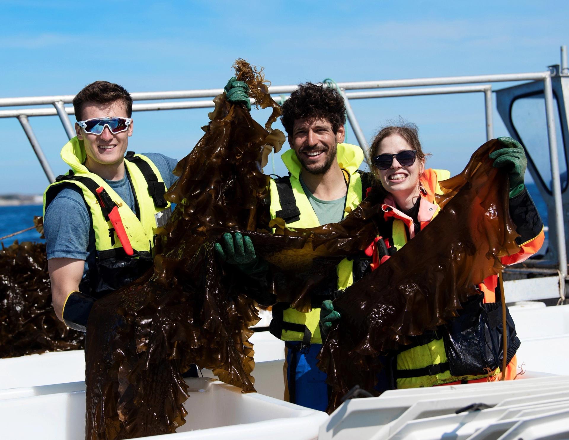 three people on a boat holding up seaweed