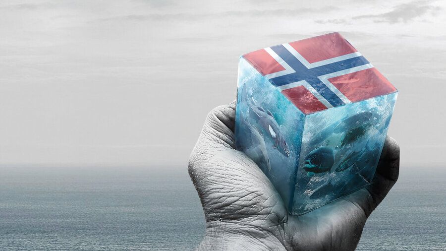 MMC First Process systems ensure gentle and sustainable fish handling ...