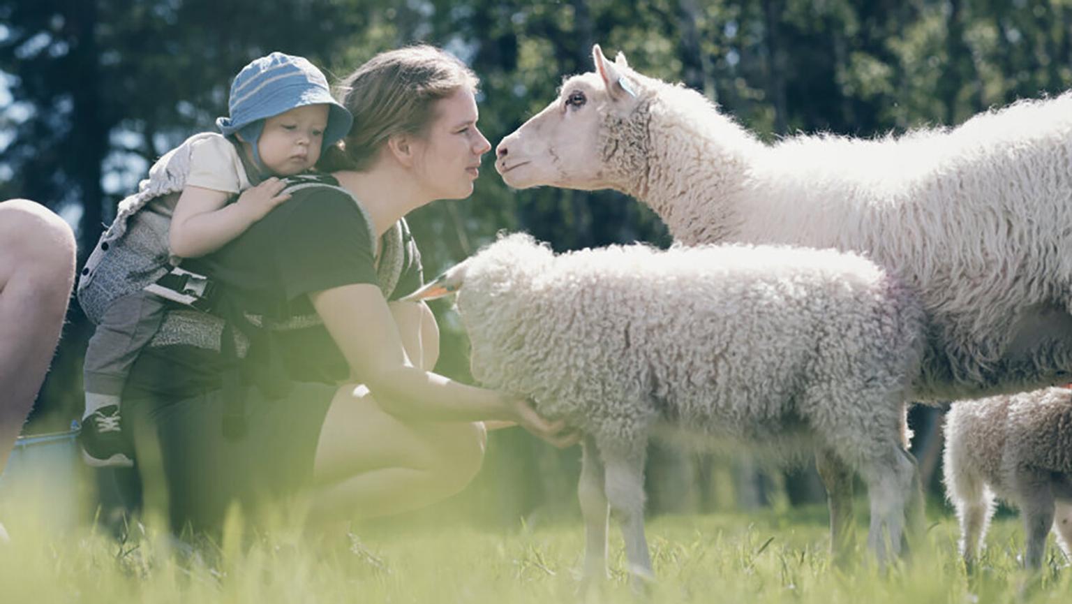 Woman and child petting sheep