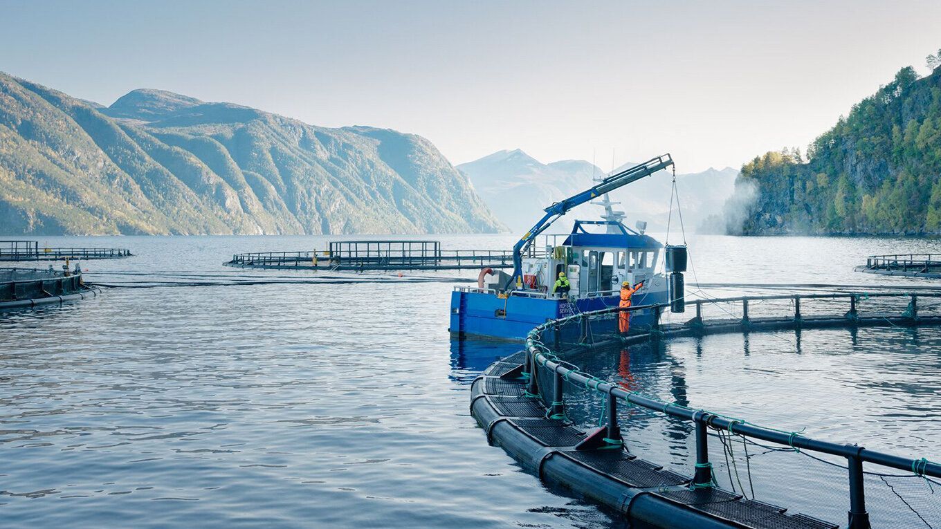 NOAA Sea Grant 2018 Aquaculture Initiative | research | Alaska Sea Grant