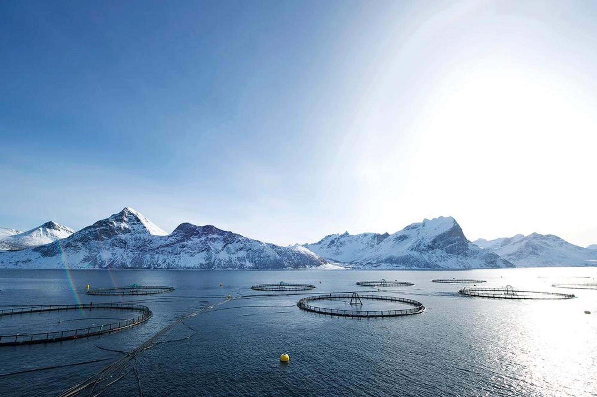 Fish farm with mountains in the background