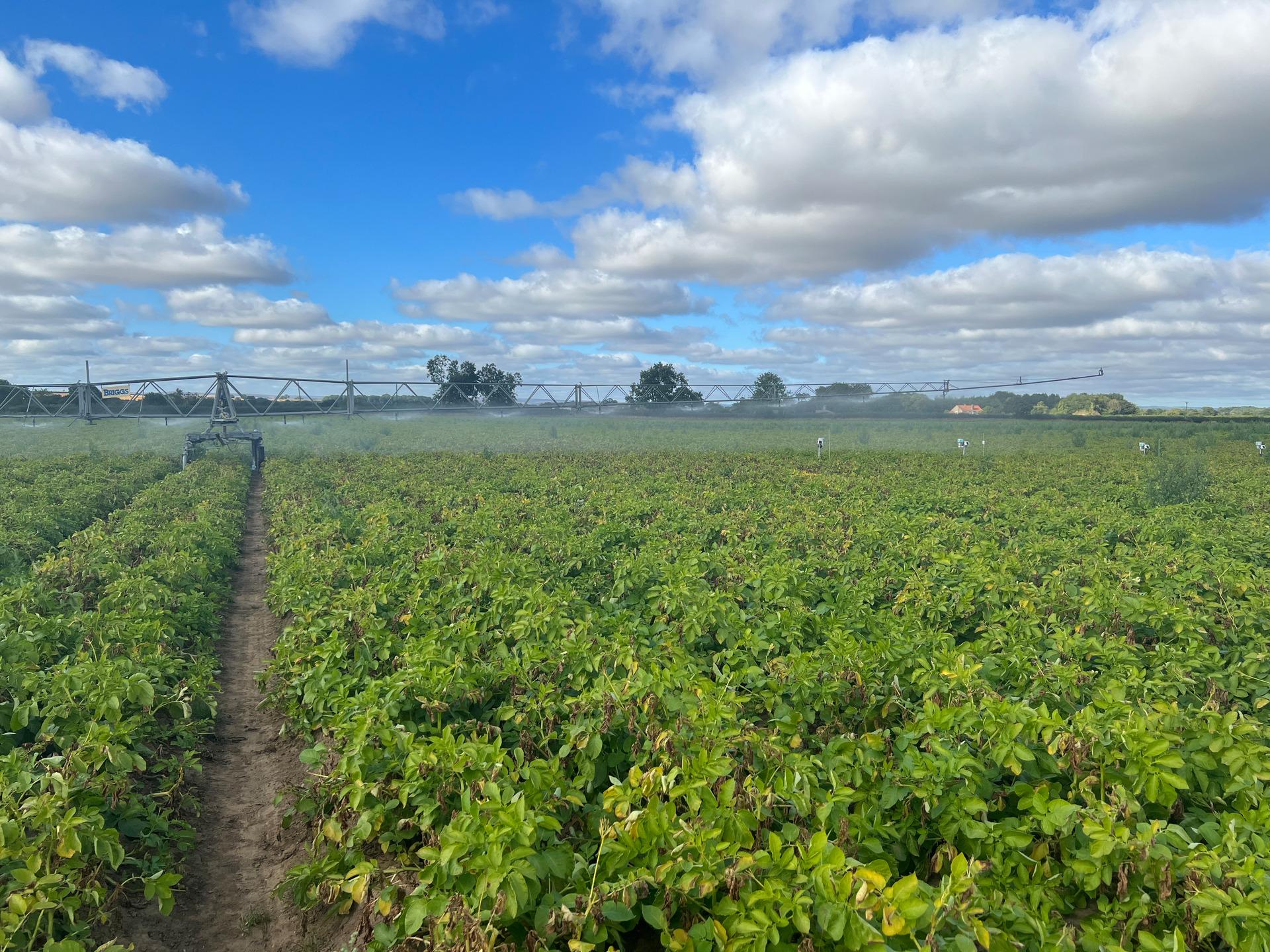 7Sense Agritech