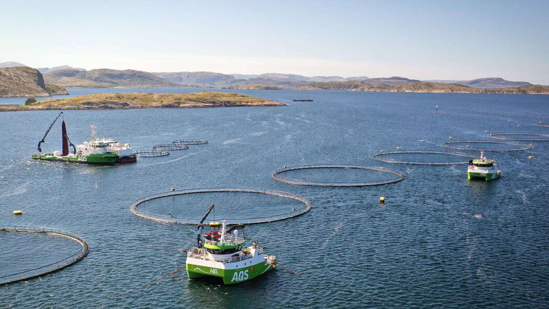 Fish farm NaviaQ