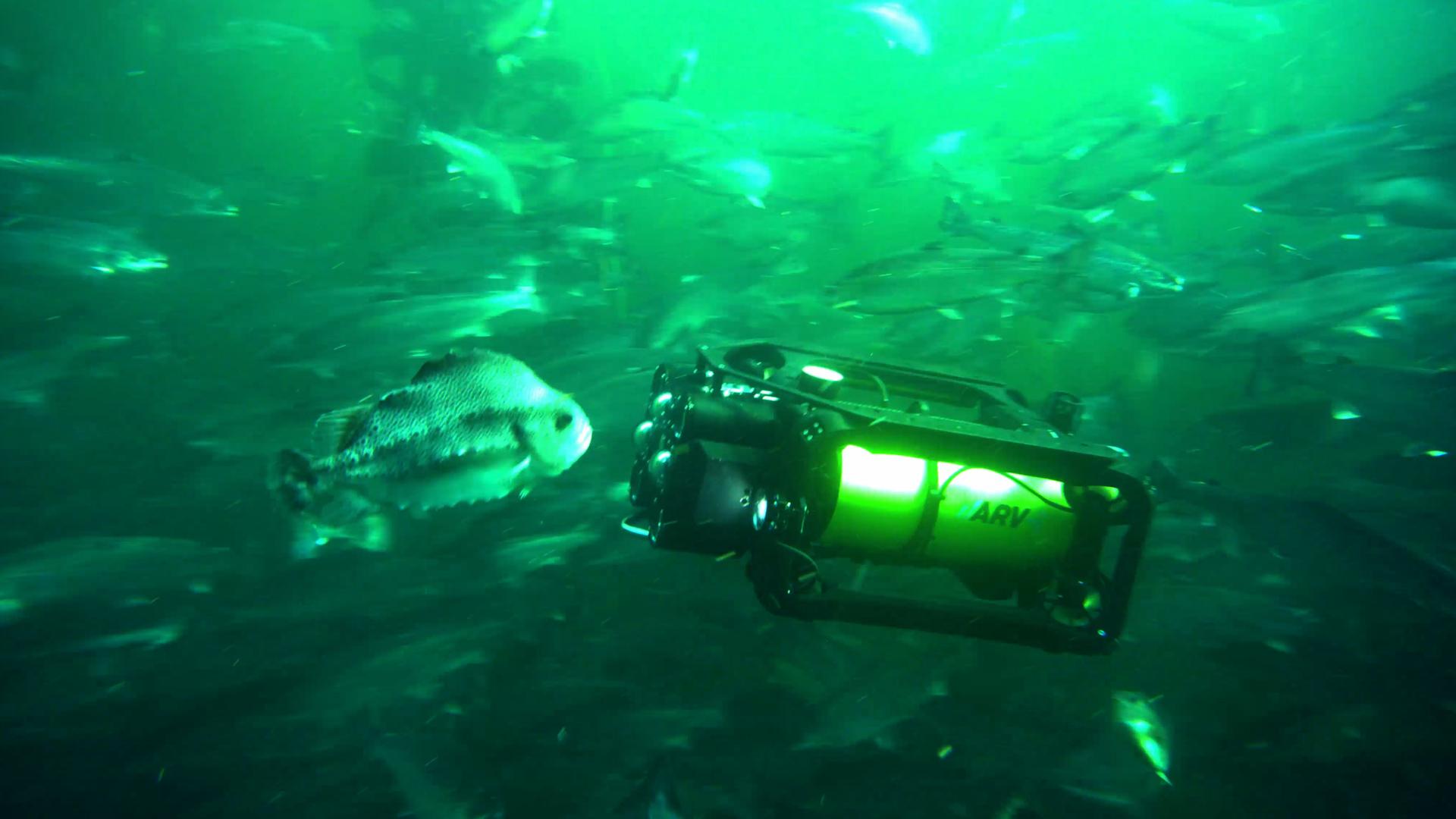 Offshore Wind - SUBC3D - Underwater Drone