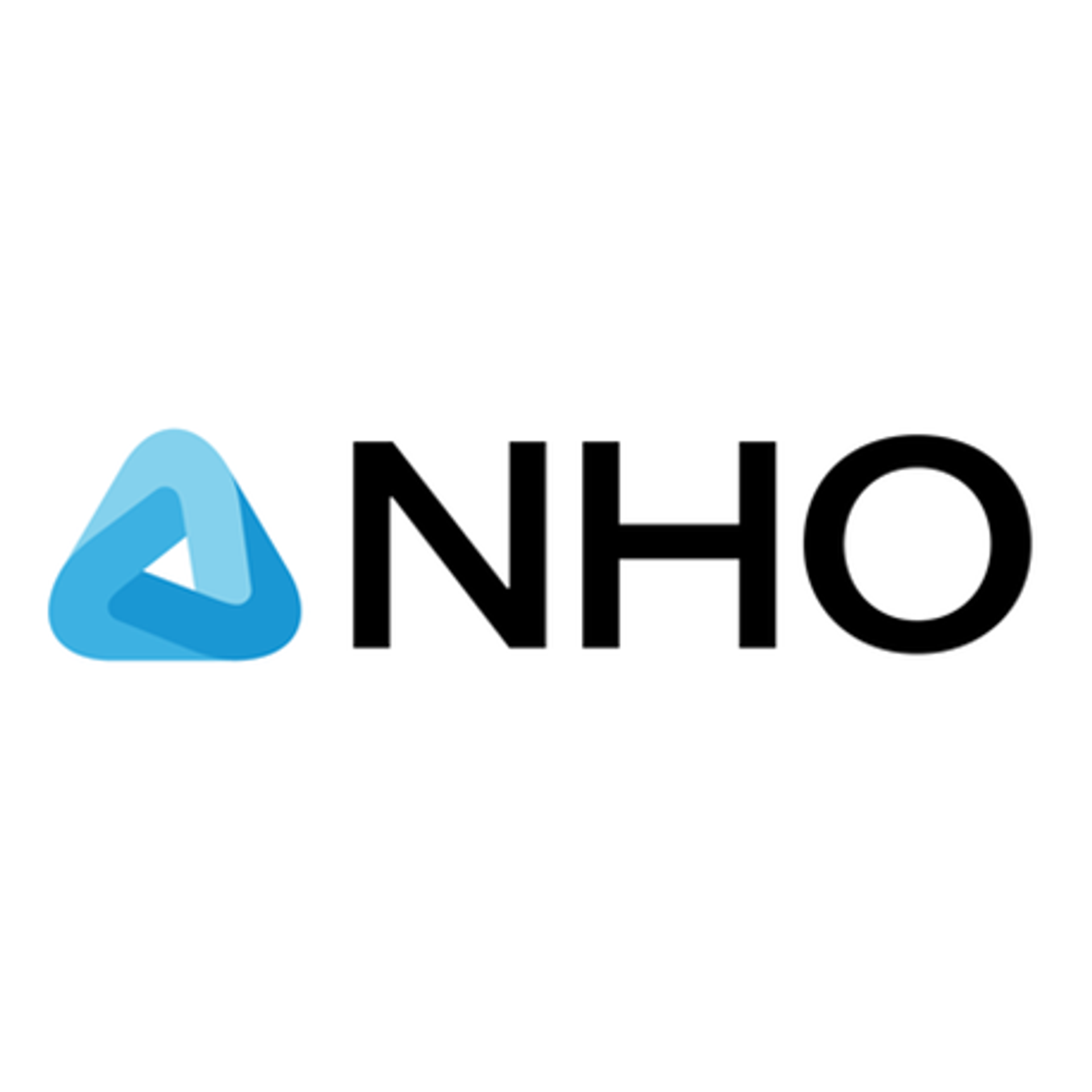 logo of NHO