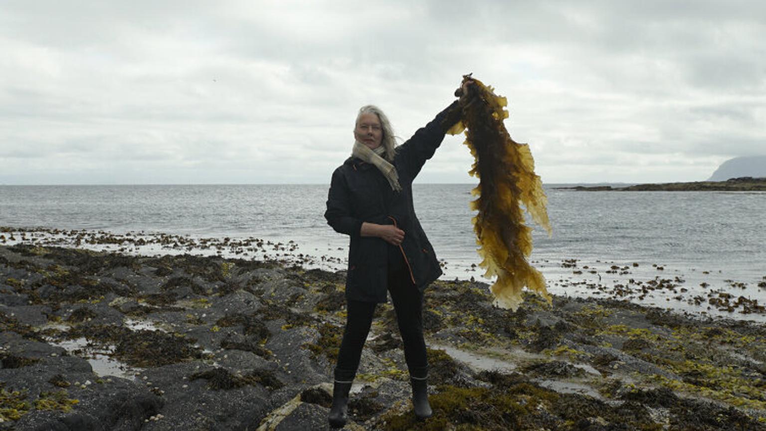 Woman holding seaweed