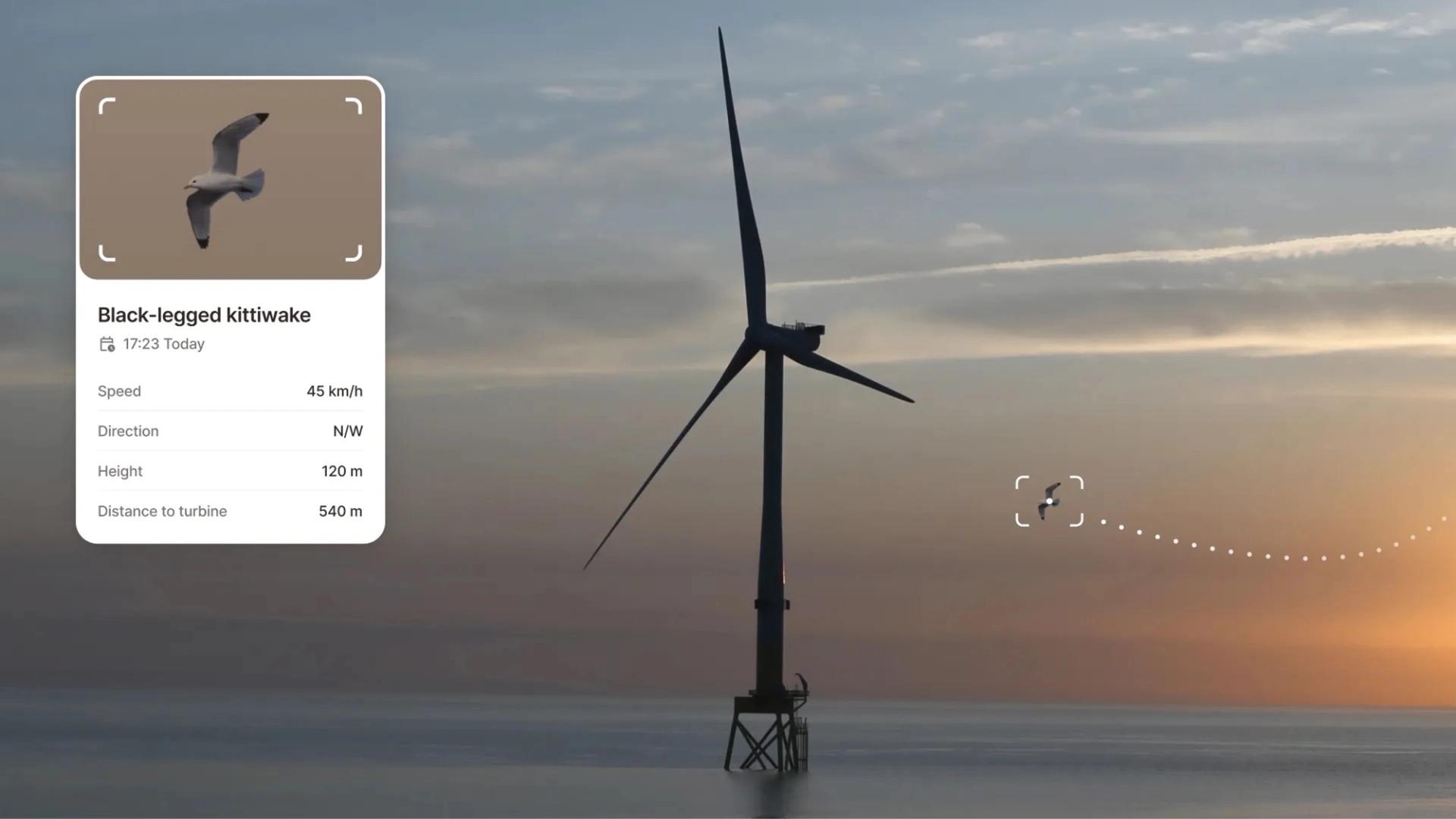 Illustration of a bird near an offshore wind turbine