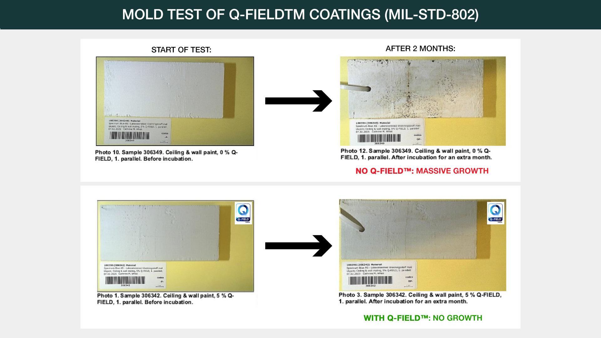 Strip testing mold growth and paint