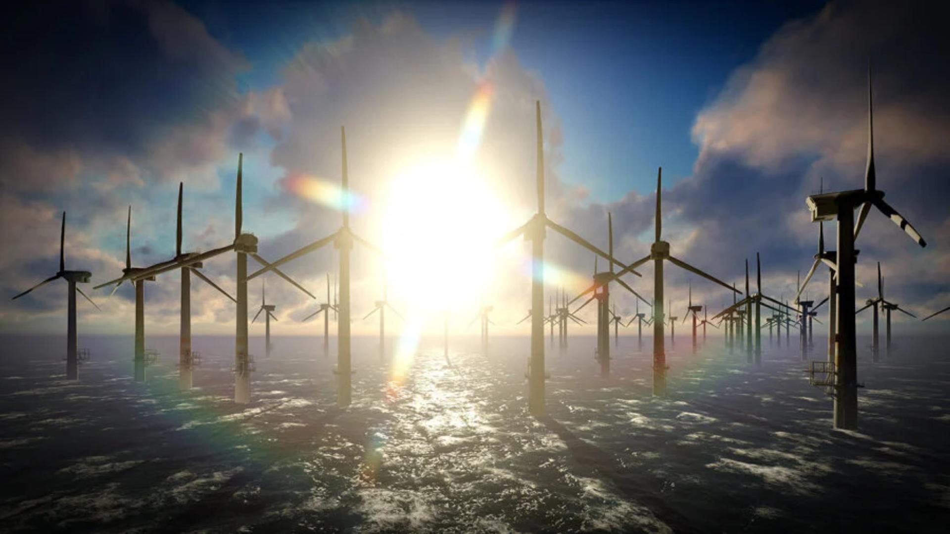 Offshore wind farms are a reliable source of green energy thanks to the strong, steady wind at sea.