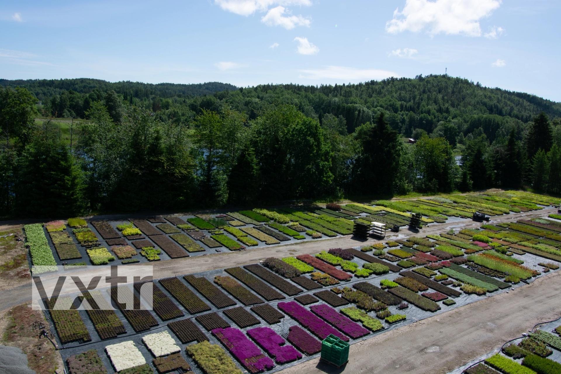 Aerial view of VXTR's plant nursery in Froland, Norway