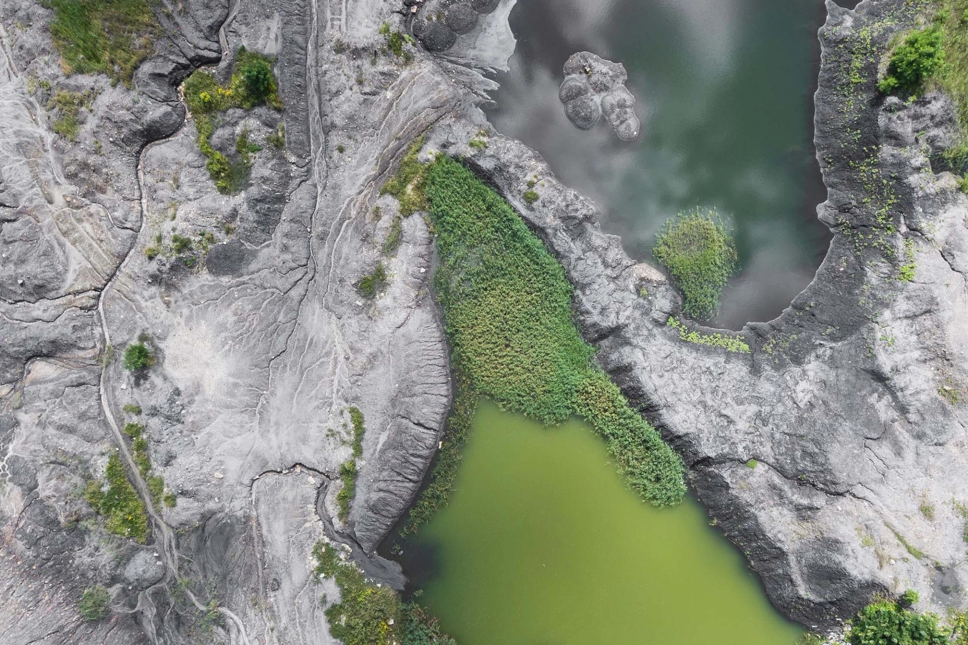 Satellite image of grey rocky terrain with green vegetation