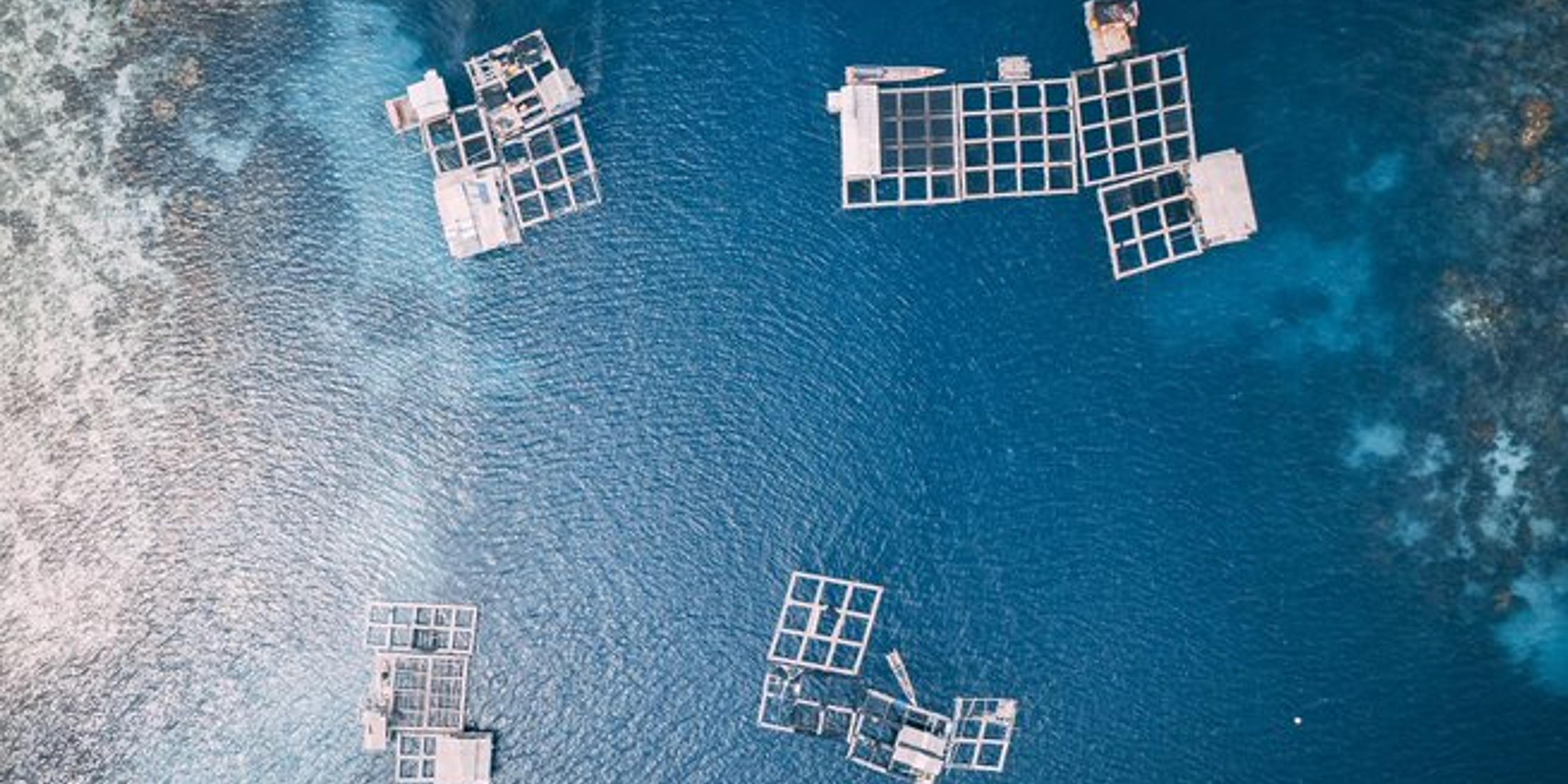 technology on sea