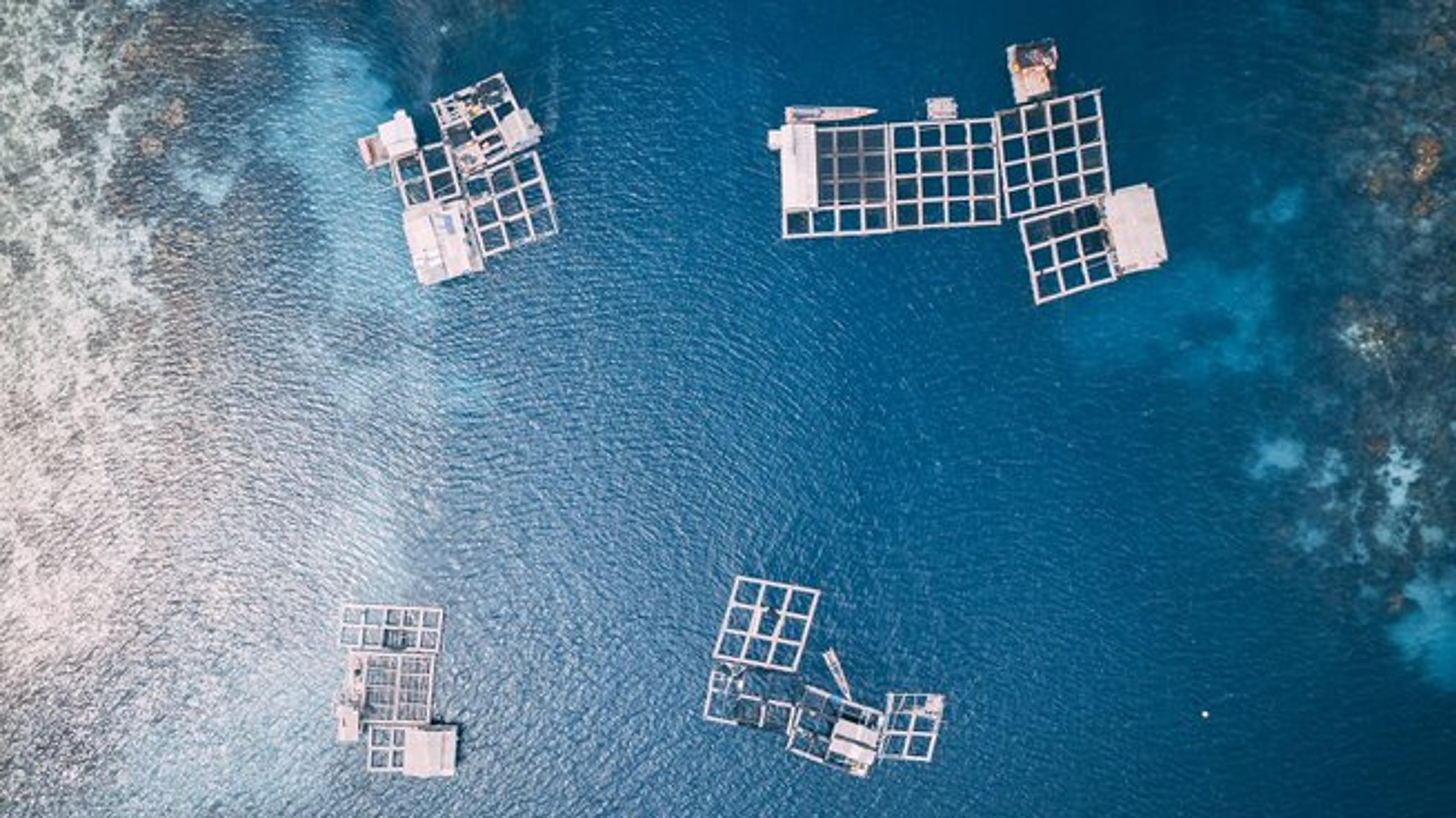 technology on sea
