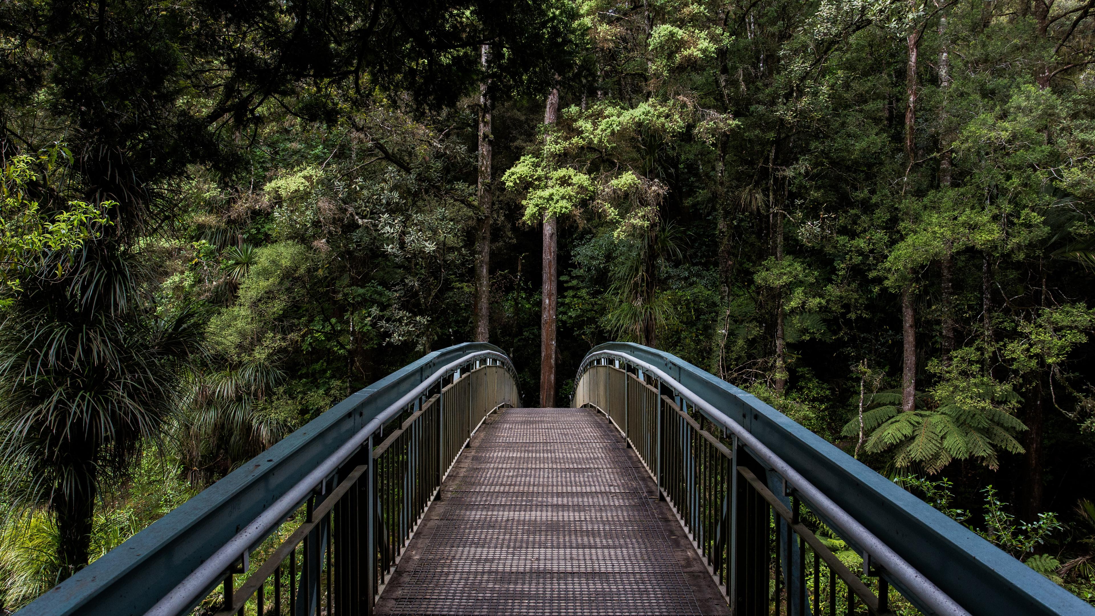 Bro fra førstepersonperspektiv som står på broa å ser på skog i bakgrunn