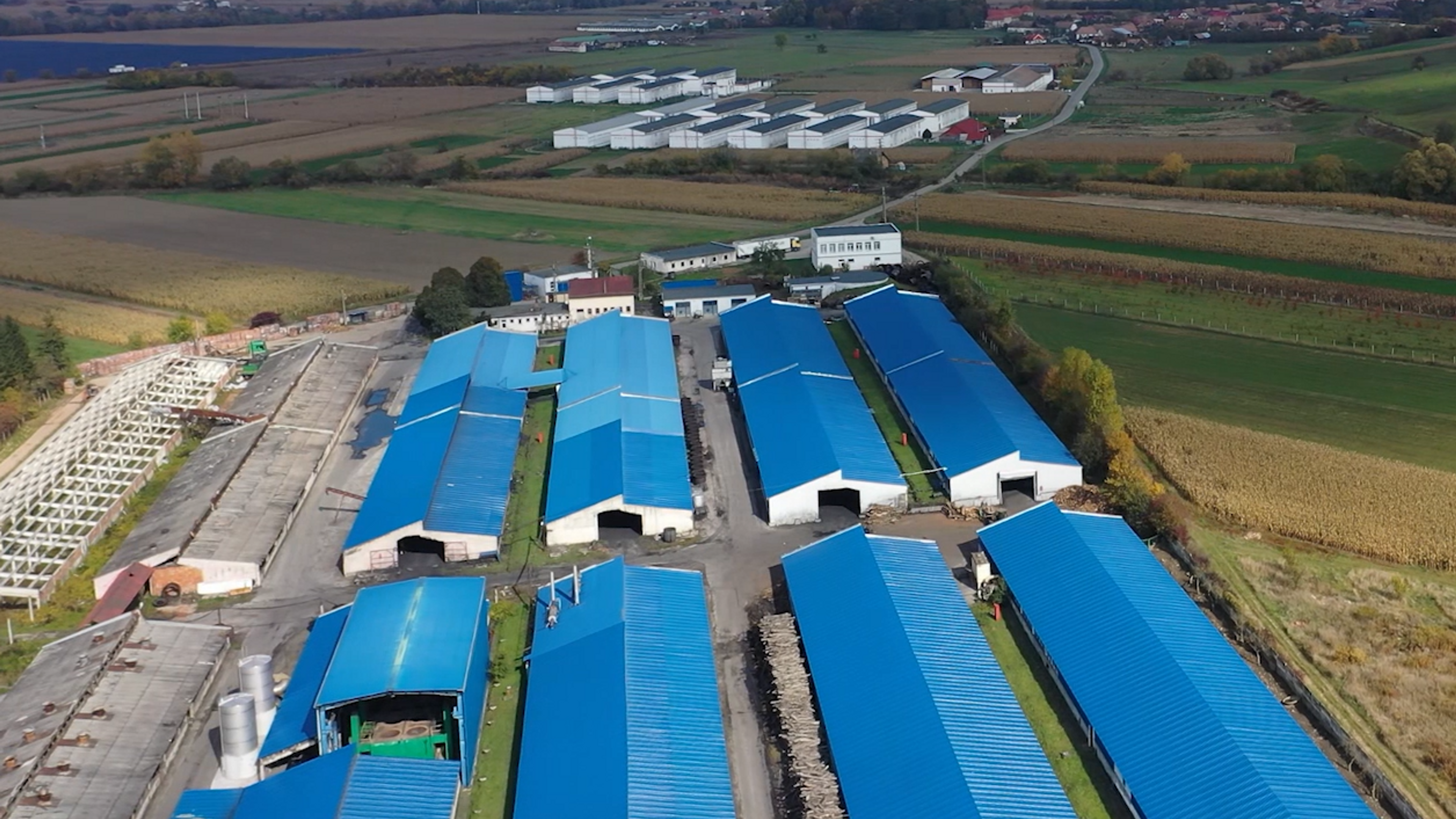 Production facilities for greens