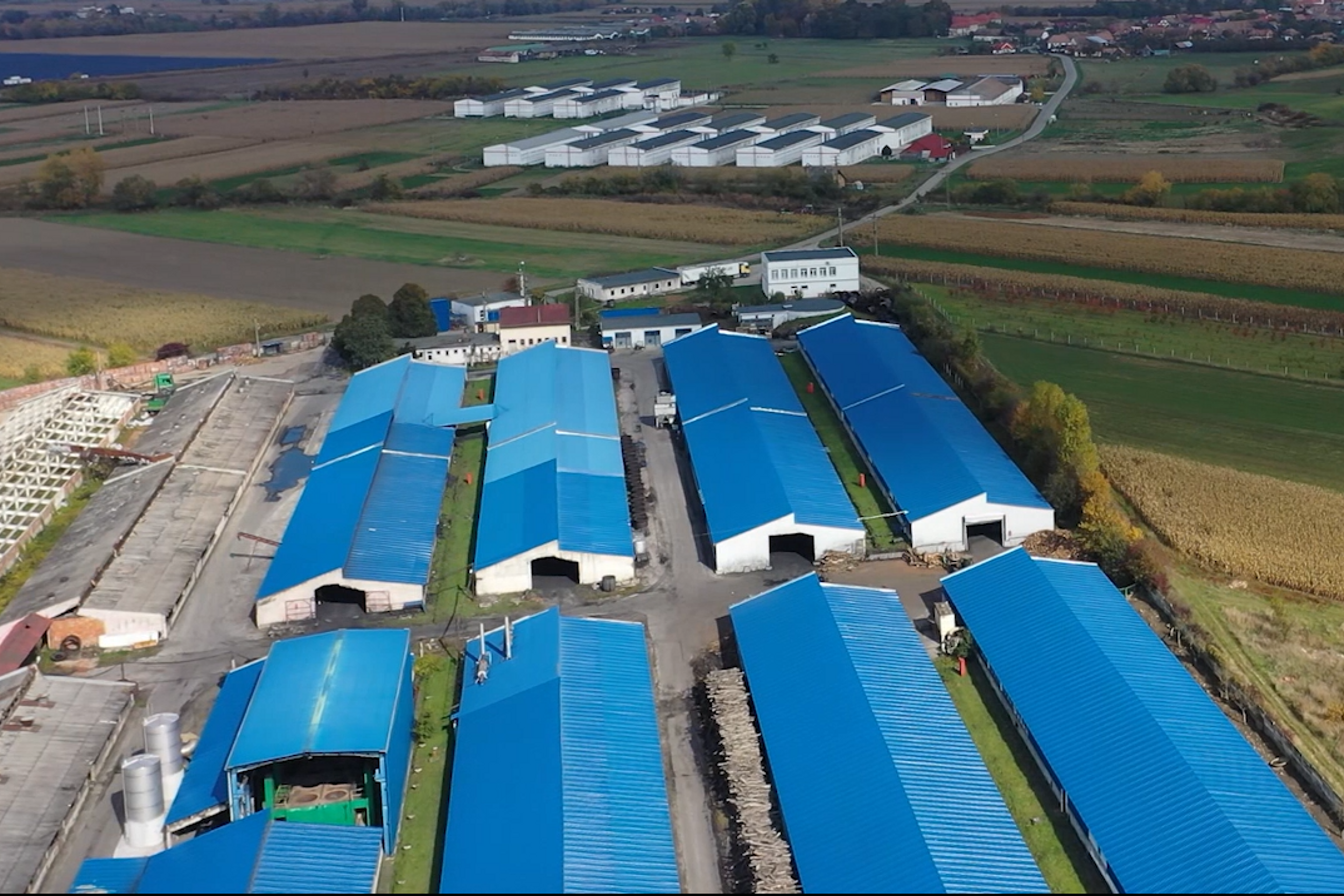 Production facilities for greens