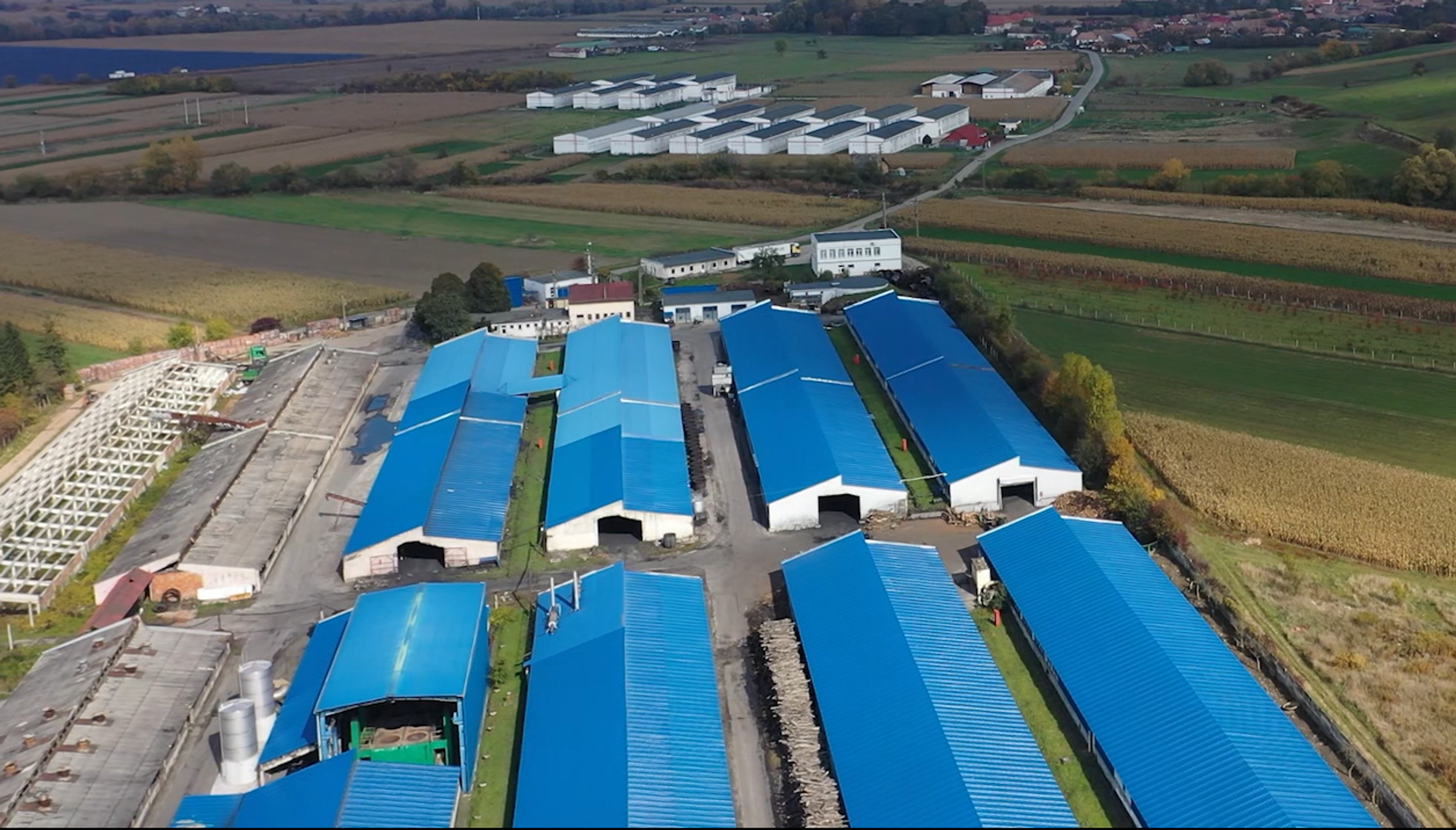 Production facilities for greens