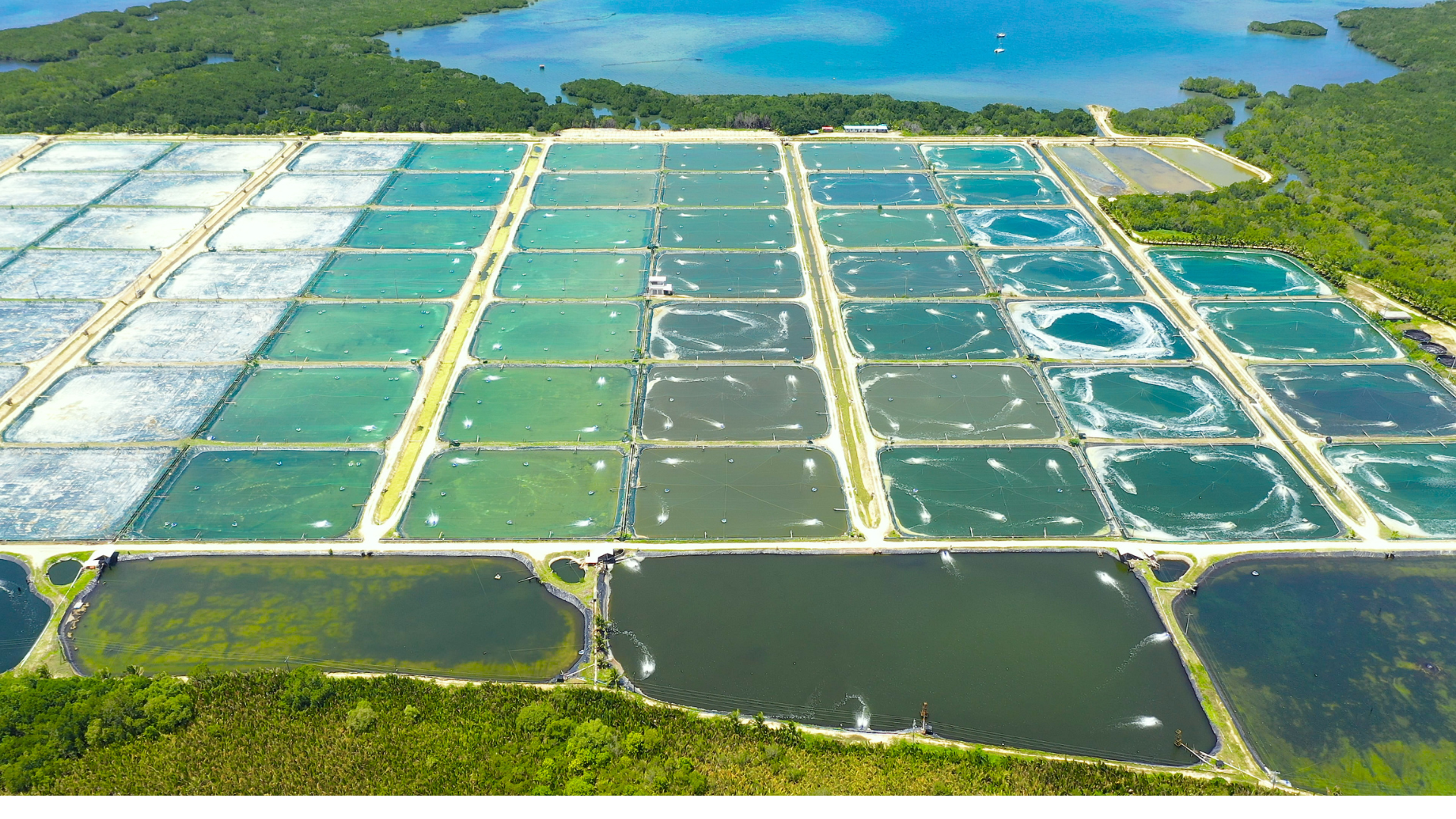 A photo of sustainable aquaculture