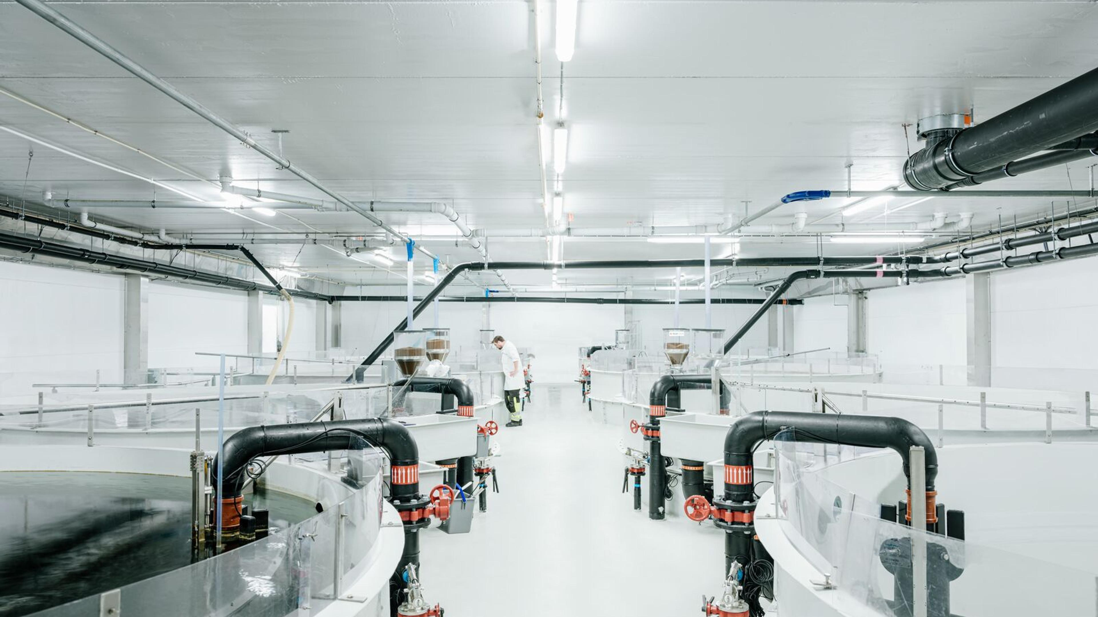 Inside of aqua's fish farm facility