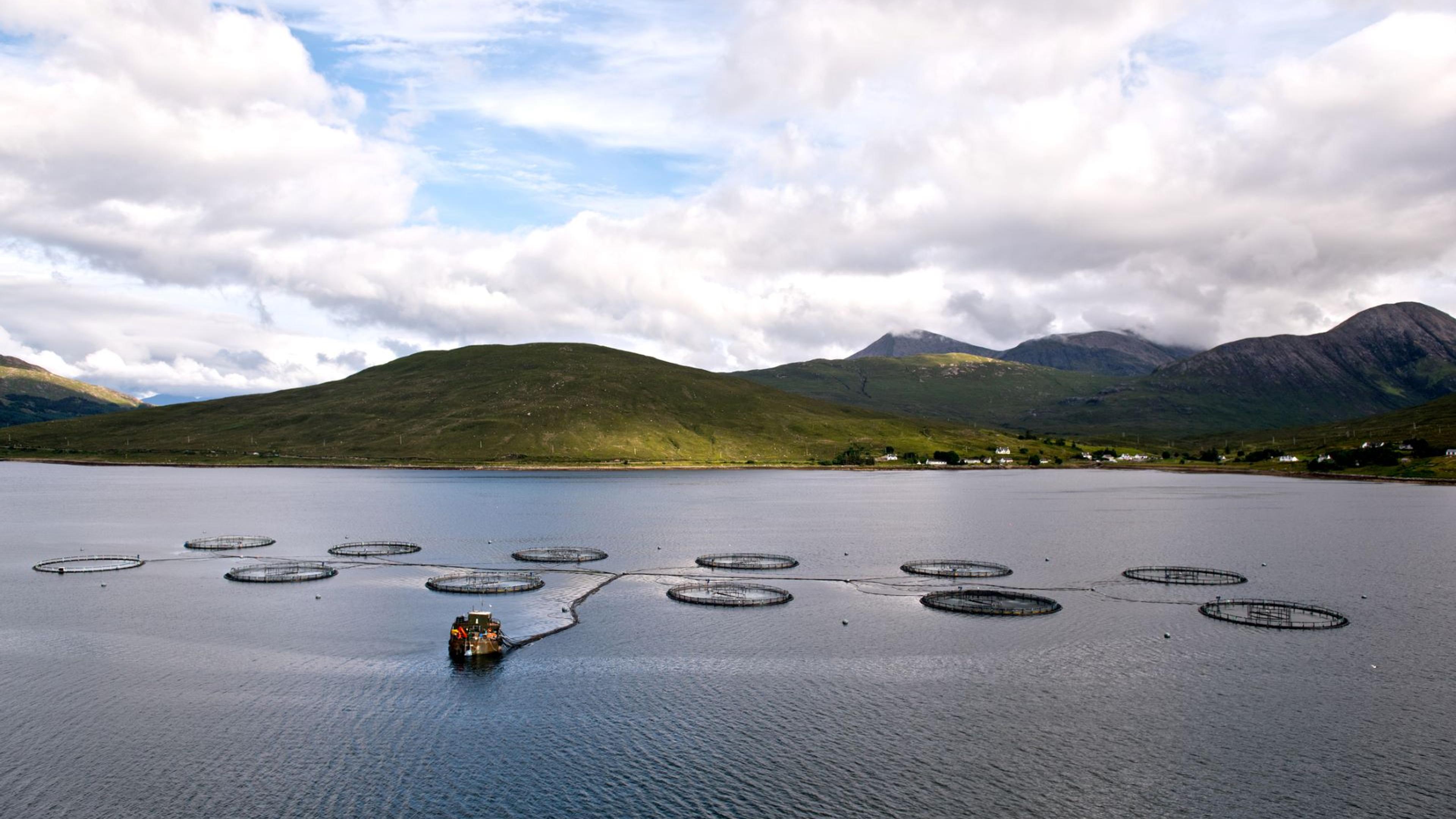 Fish Cages in the loch sligachan of Isle of Skye Scotland
