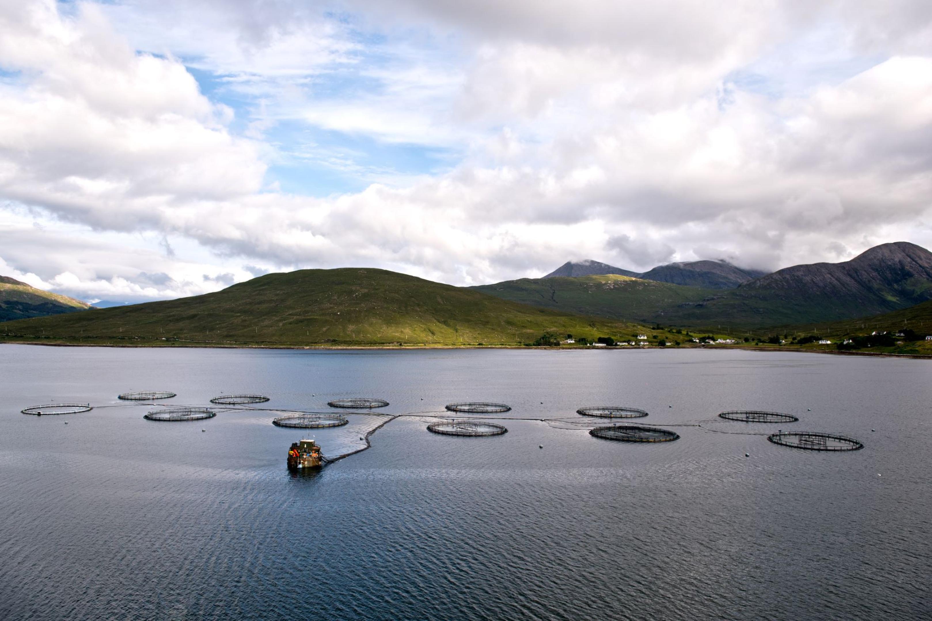 Fish Cages in the loch sligachan of Isle of Skye Scotland