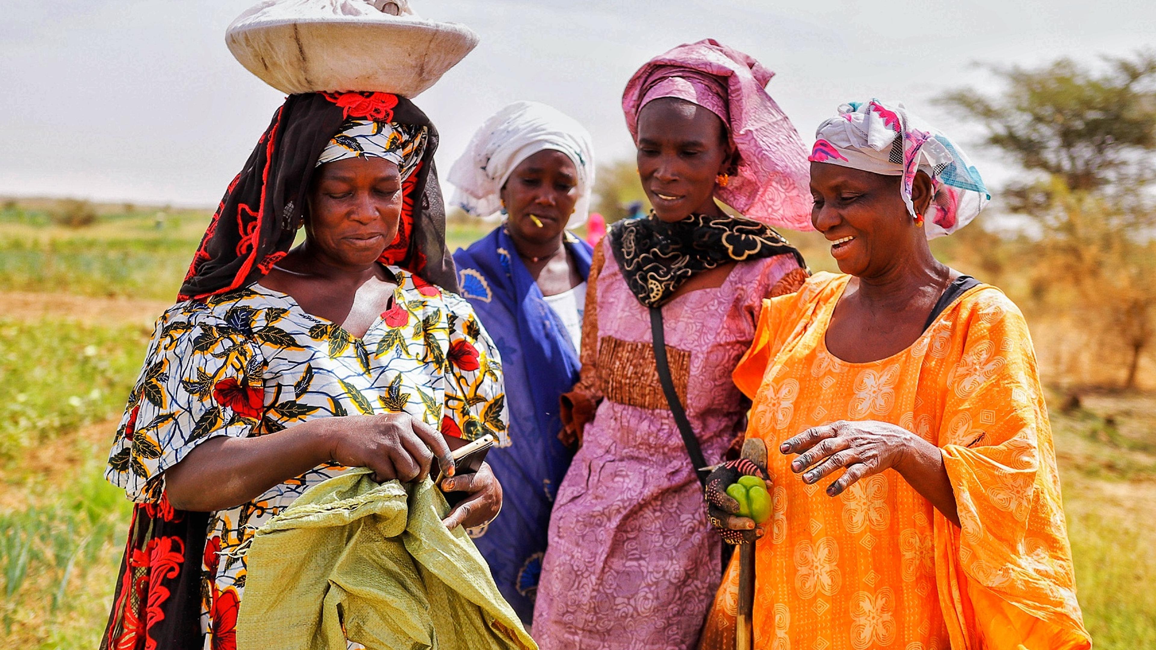 Female farmers in colourful clothing
