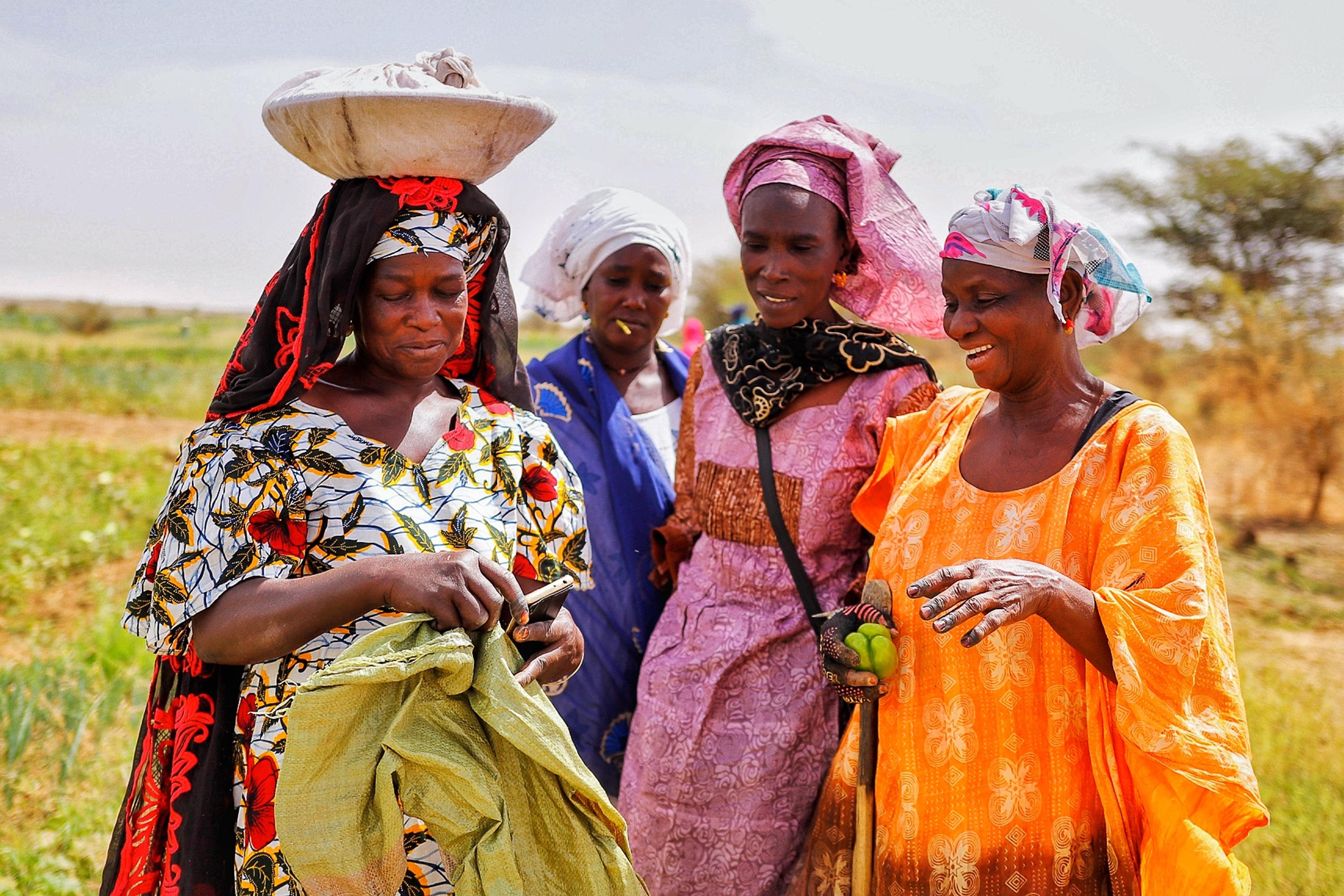 Female farmers in colourful clothing