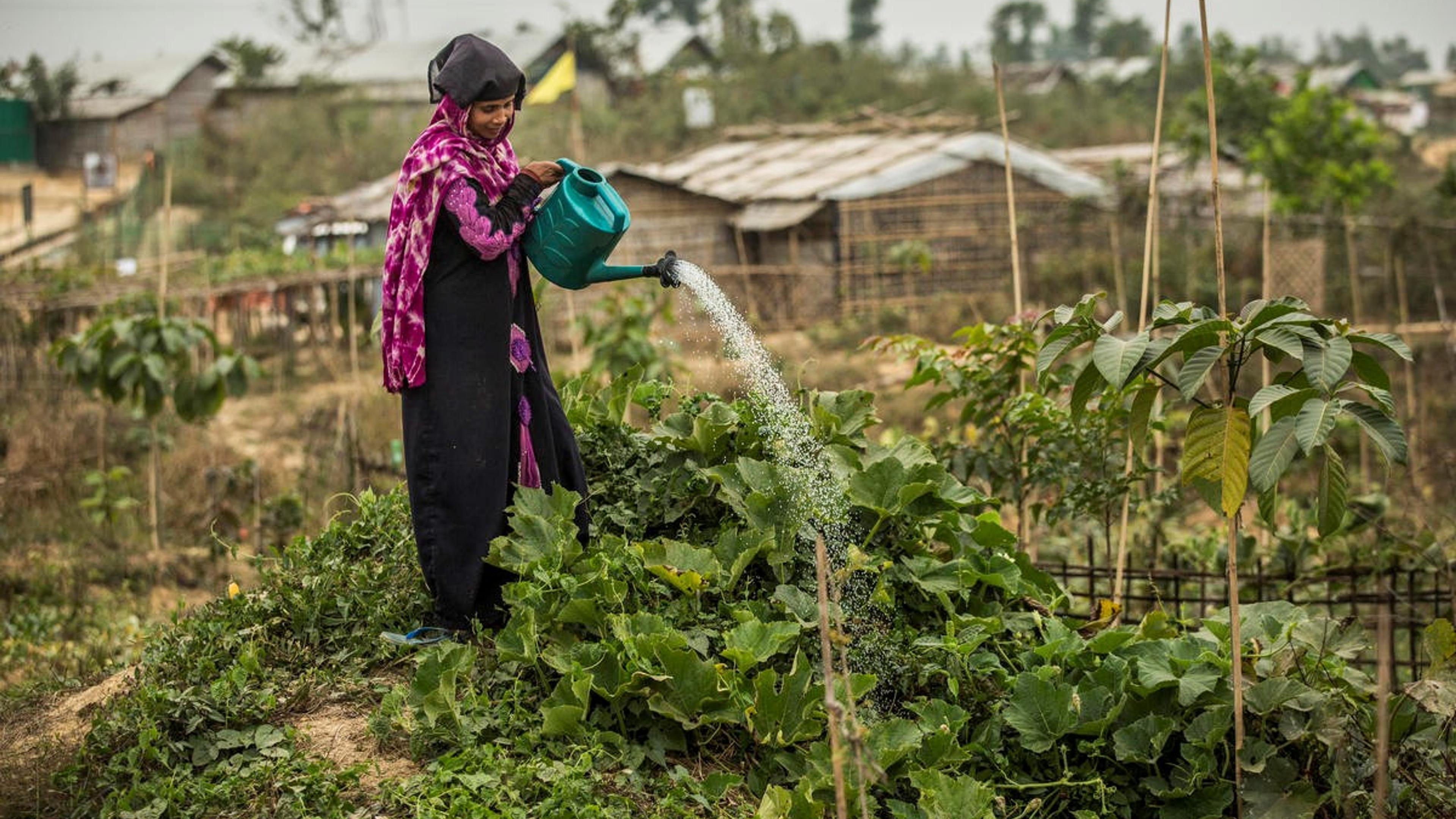 Woman watering her farmland