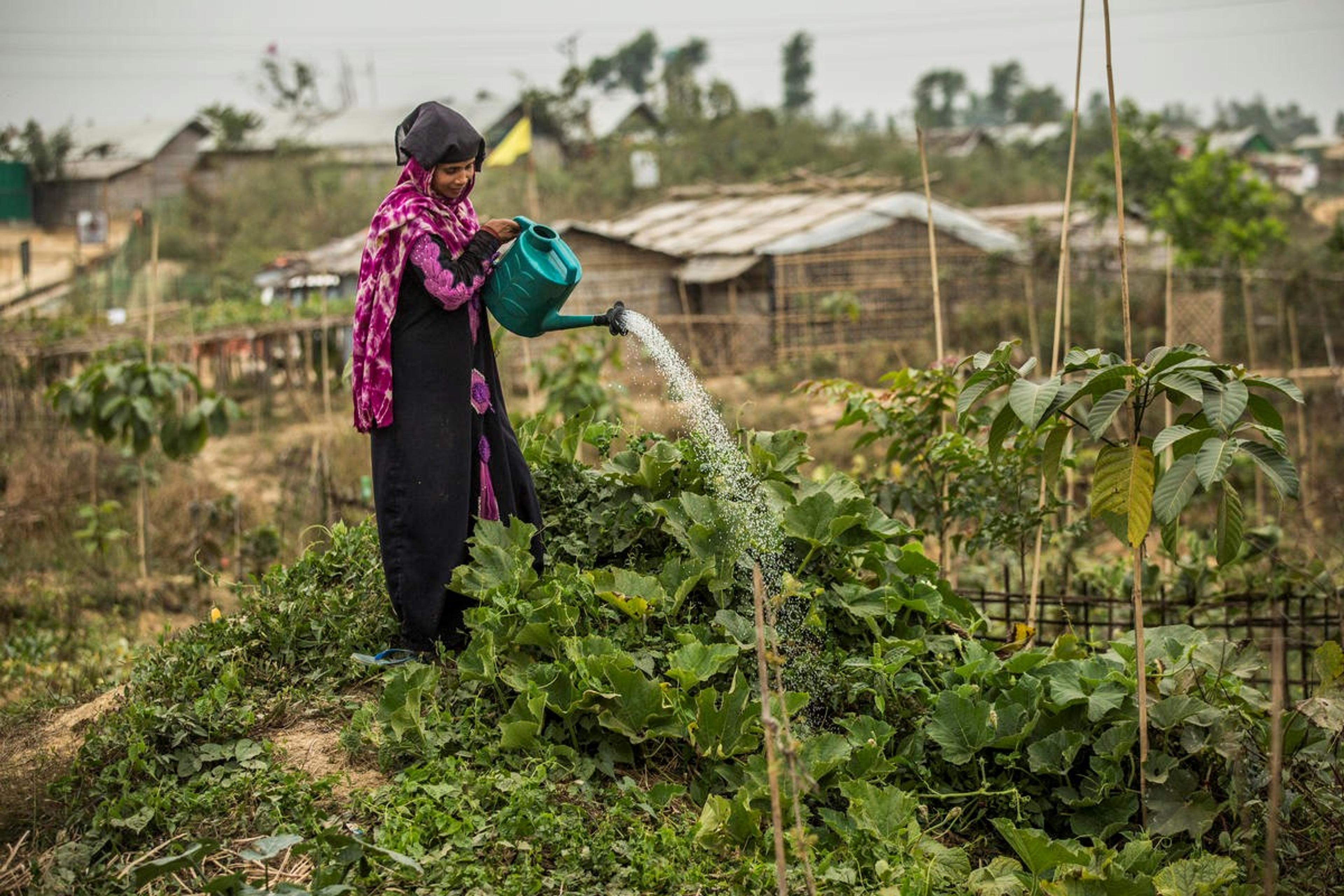 Woman watering her farmland