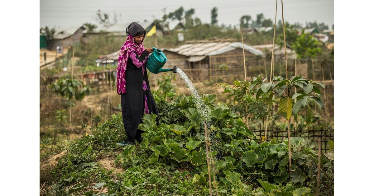 Refugee Environmental Protection Fund | Humanitarian Innovation Programme