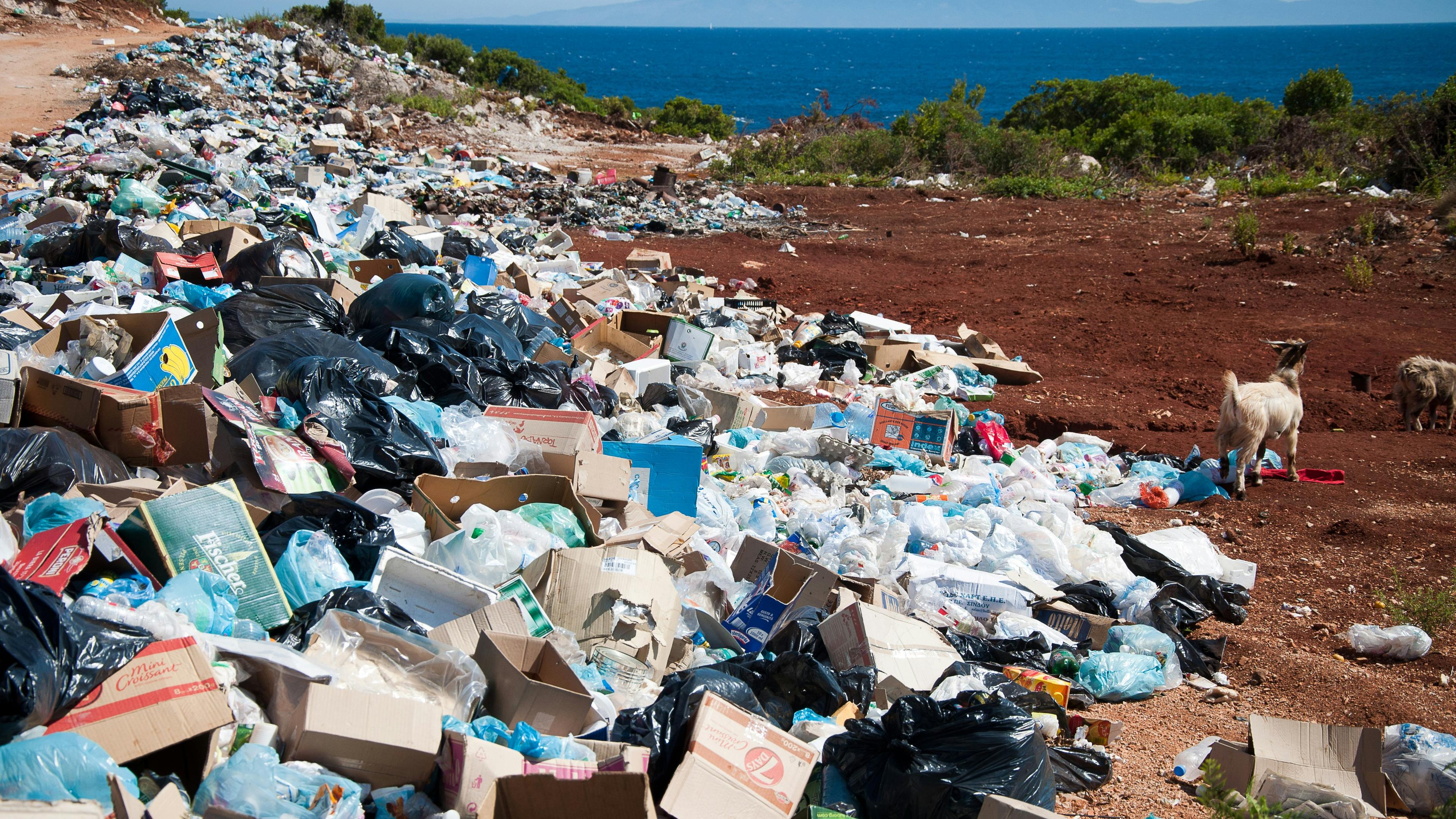 Waste