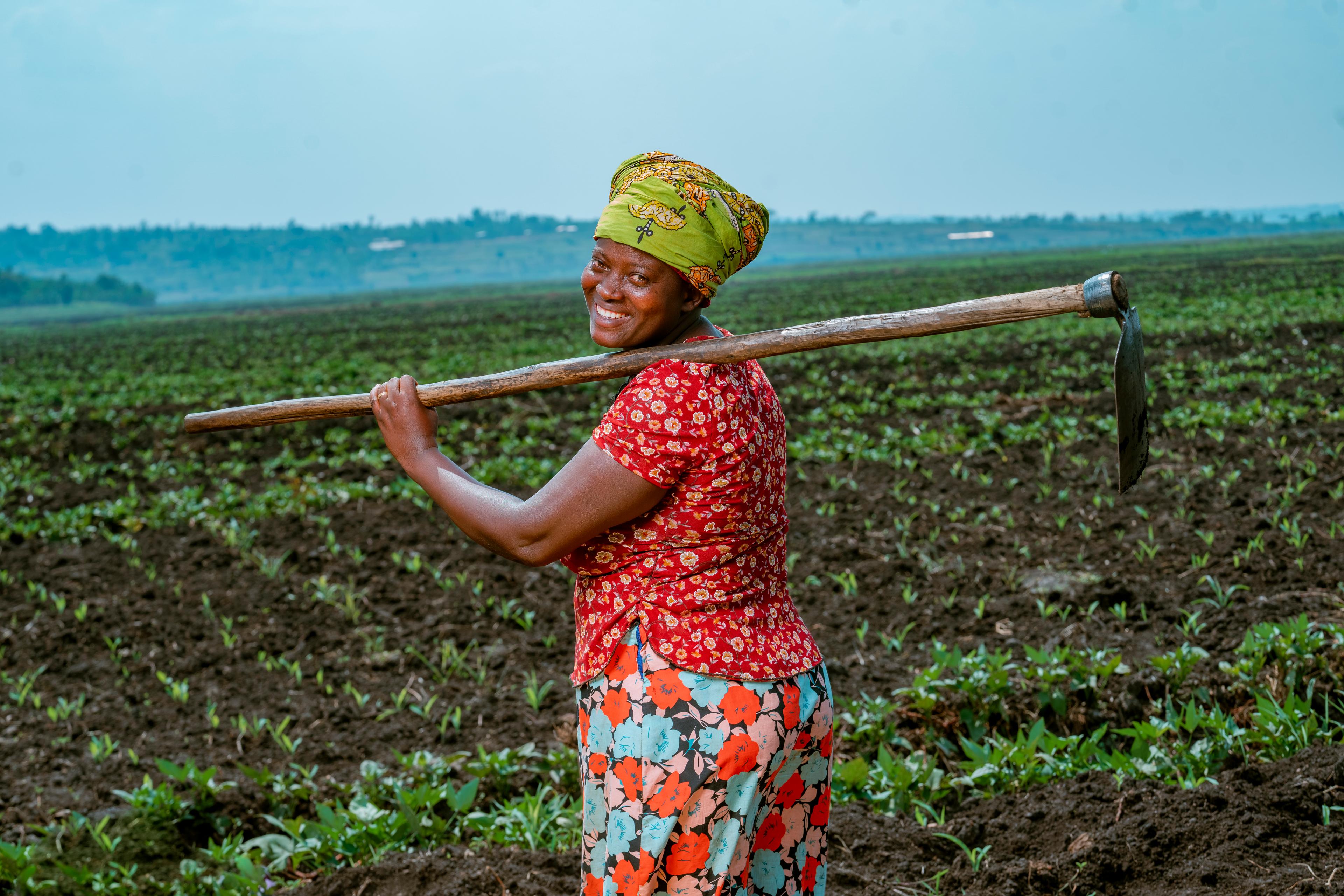 Woman smallholder farmer in a field